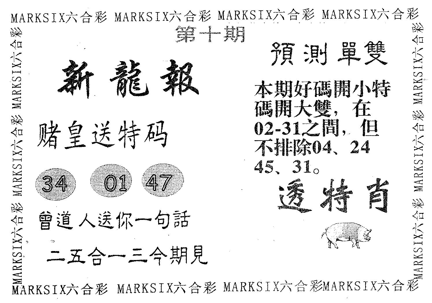 新龙报 第10期