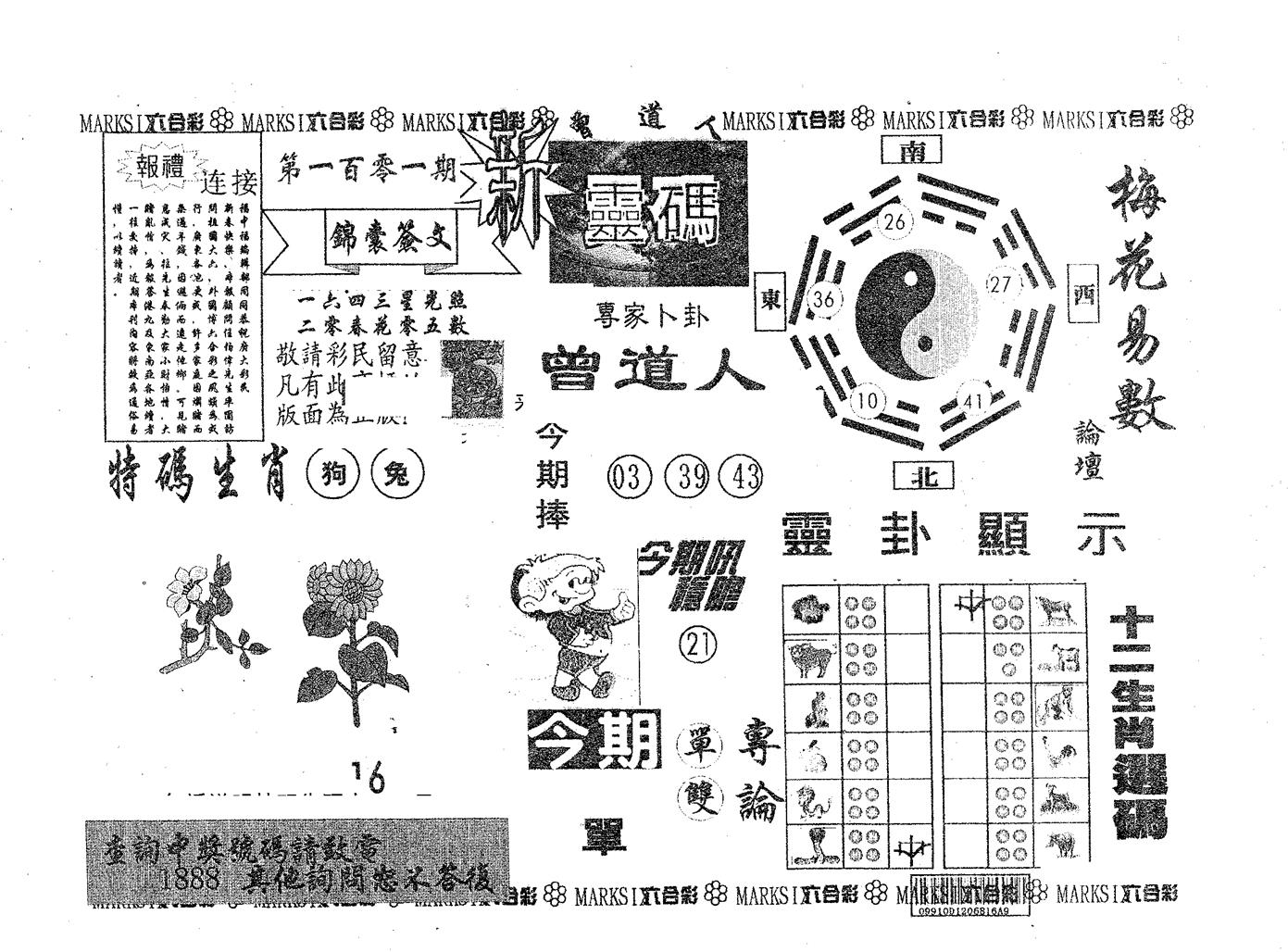 新灵码 第101期