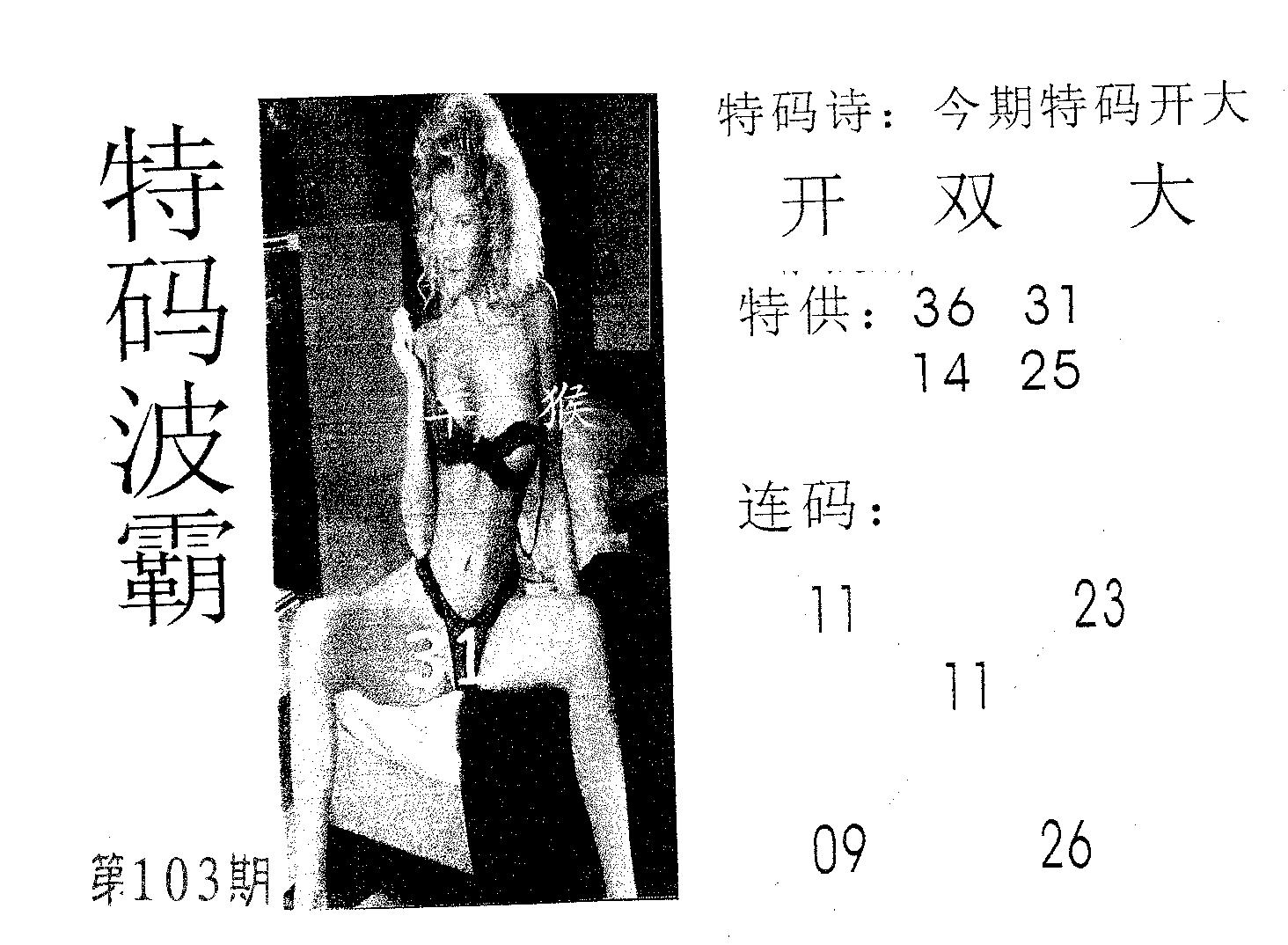 特码波霸 第103期