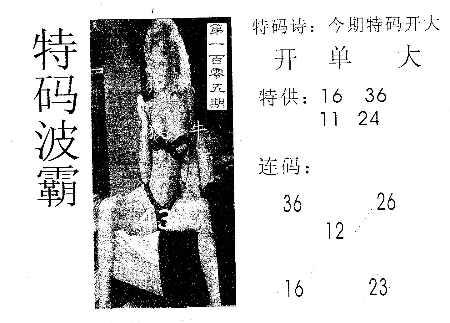 特码波霸 第105期