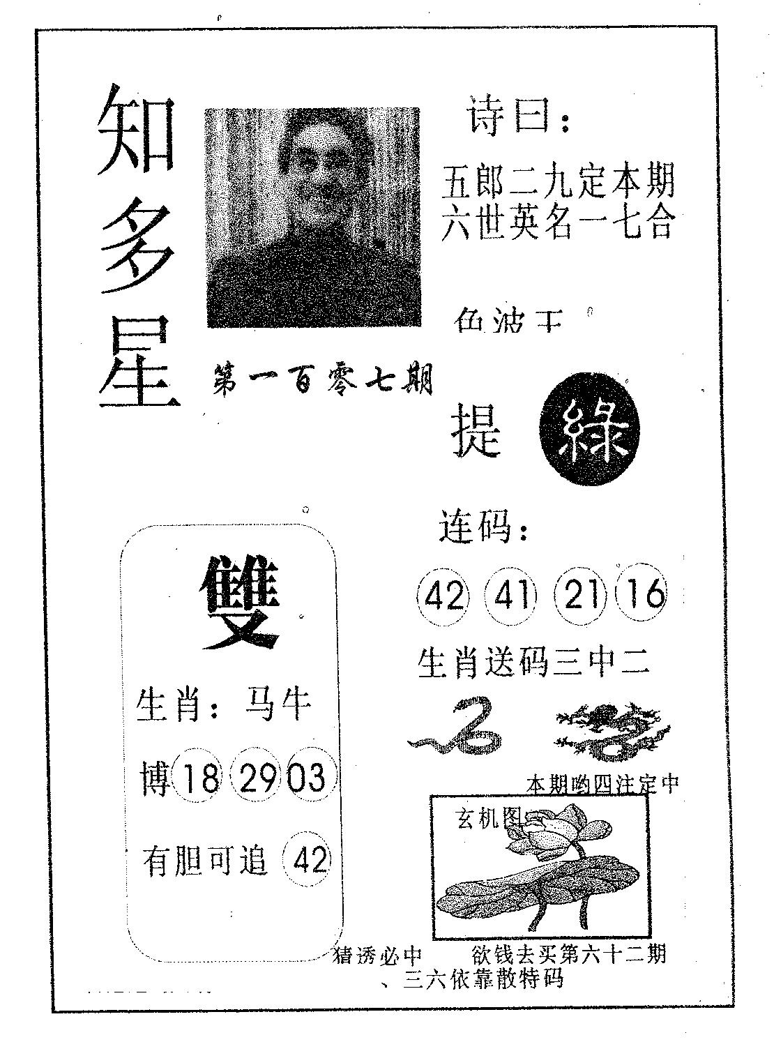 知多星 第107期