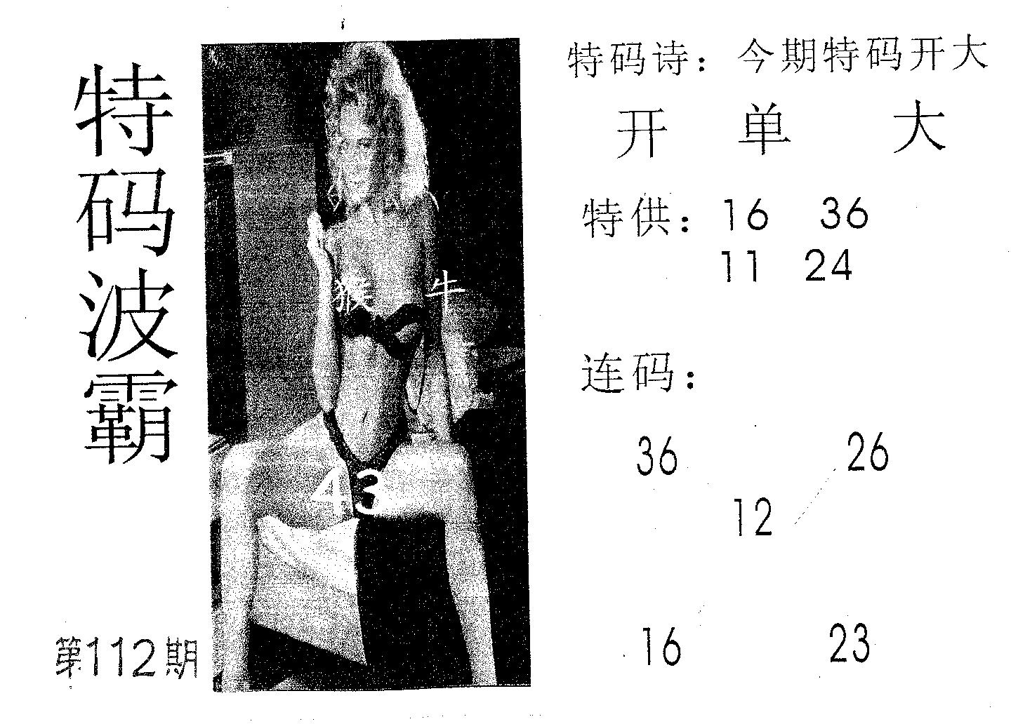 特码波霸 第112期