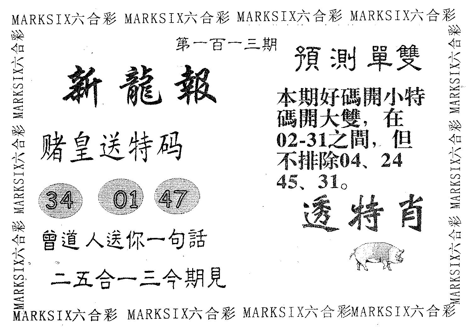 新龙报 第113期