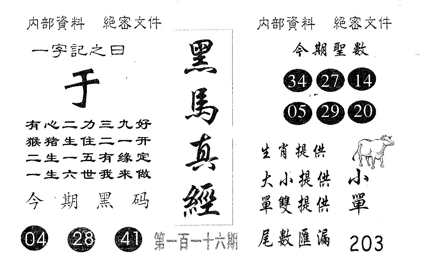 黑马真经 第116期