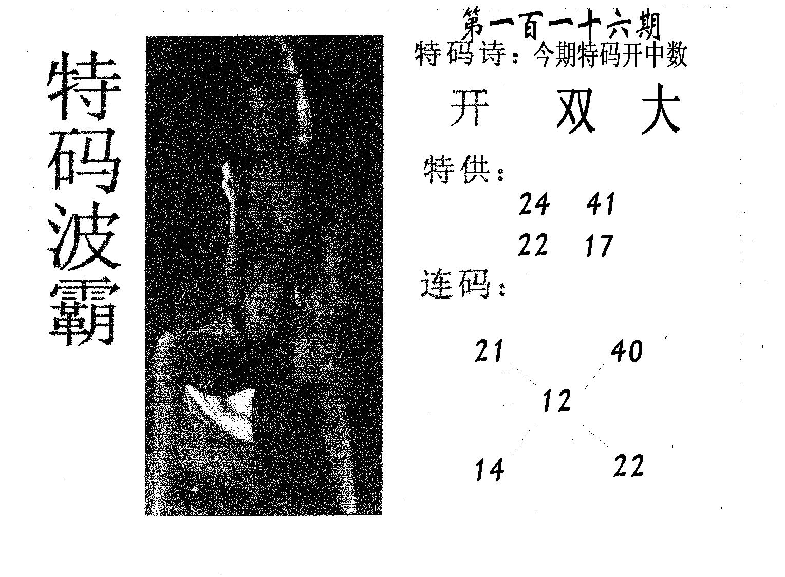 特码波霸 第116期