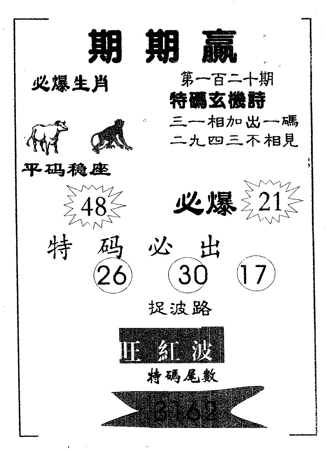 期期赢 第120期