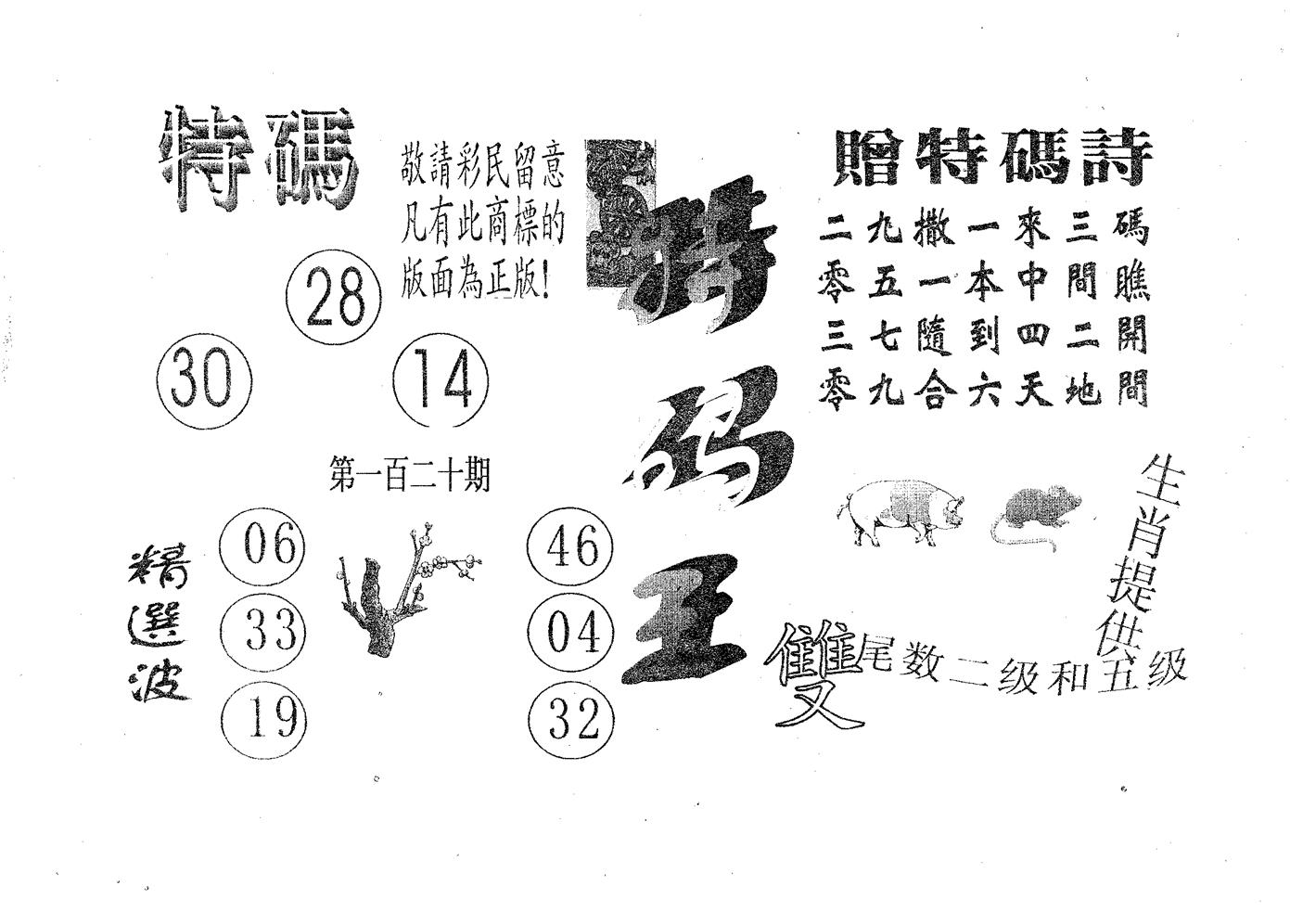 特码王A 第120期