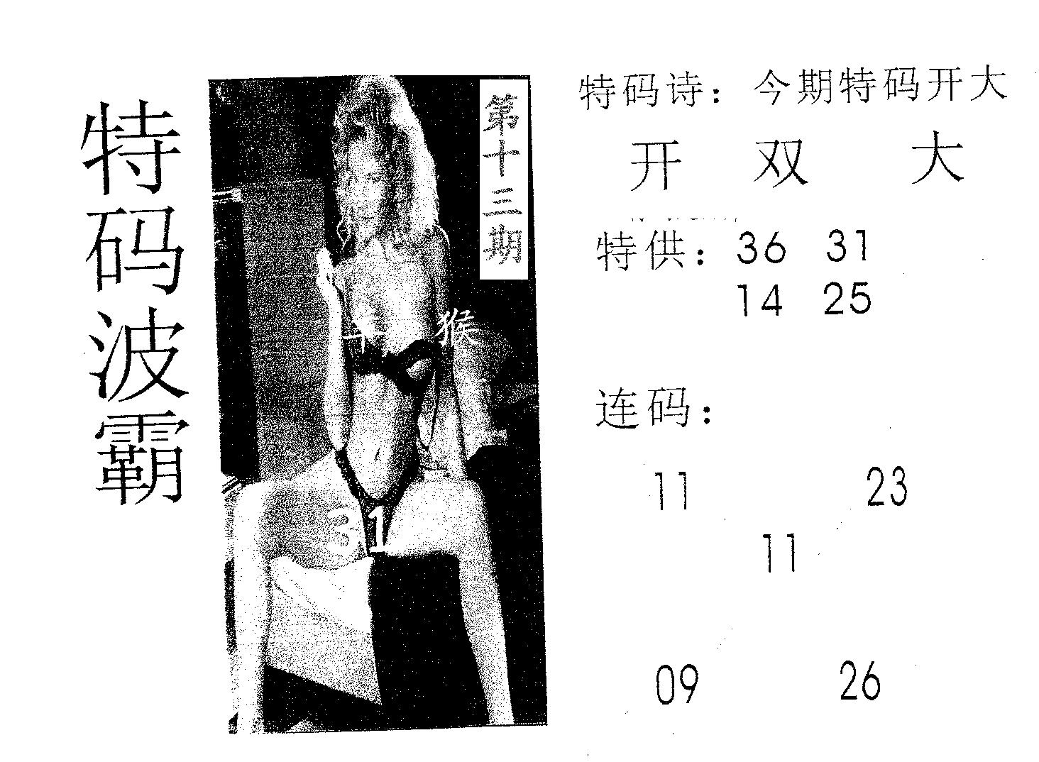 特码波霸 第13期