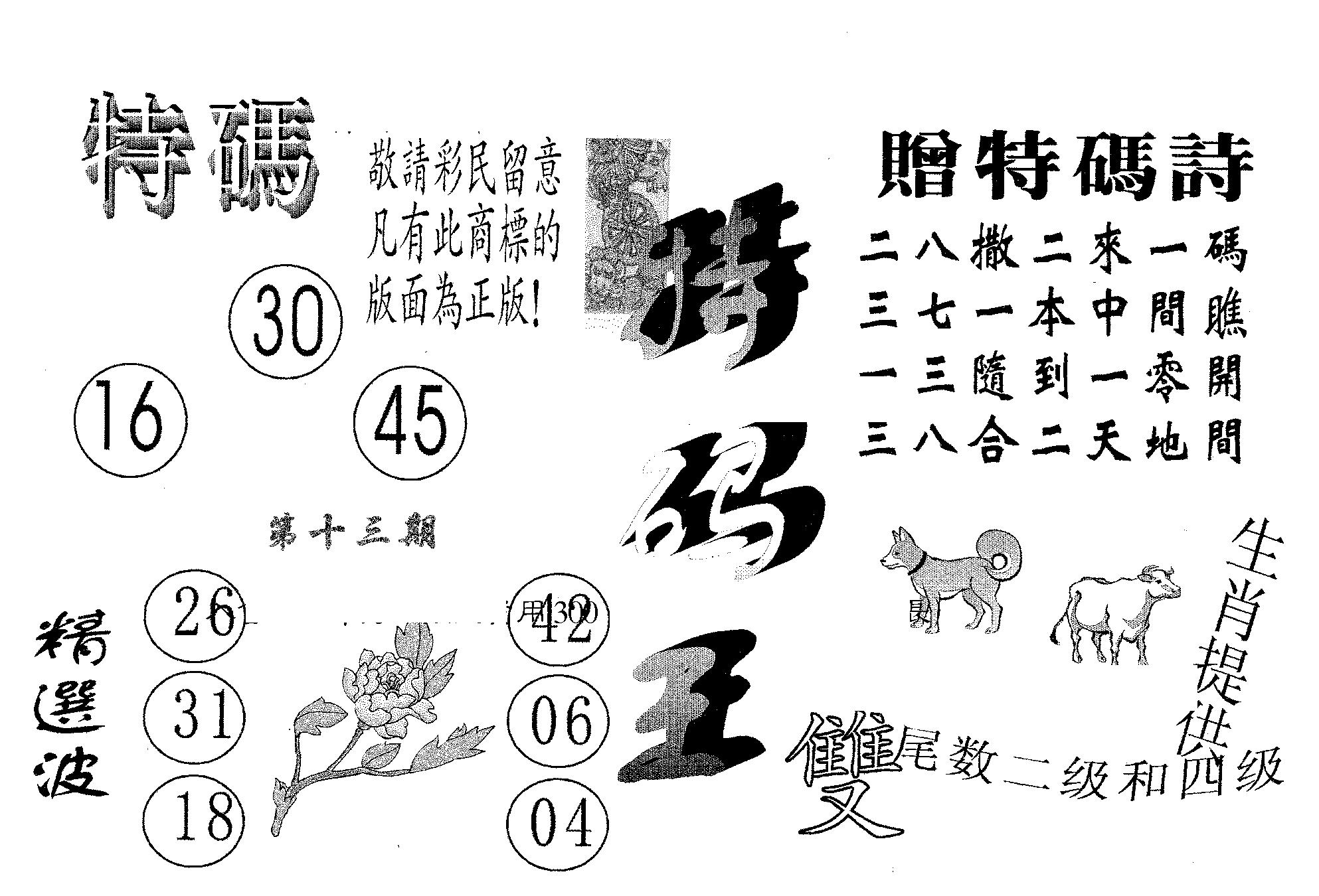特码王A 第13期