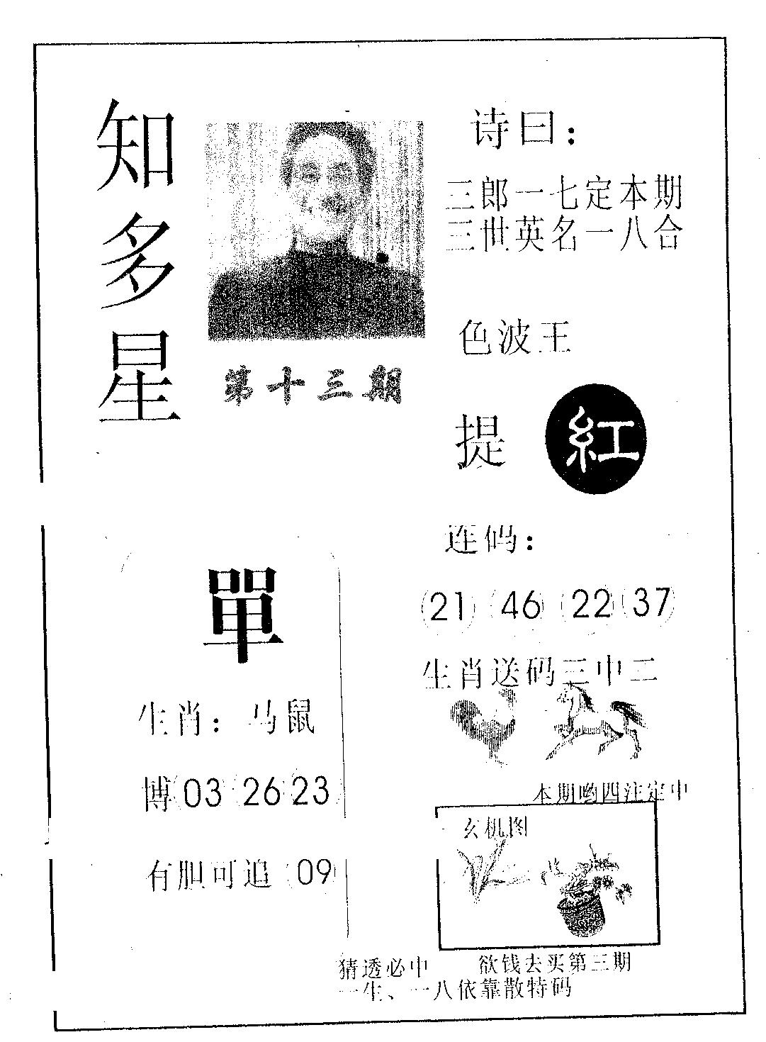 知多星 第13期