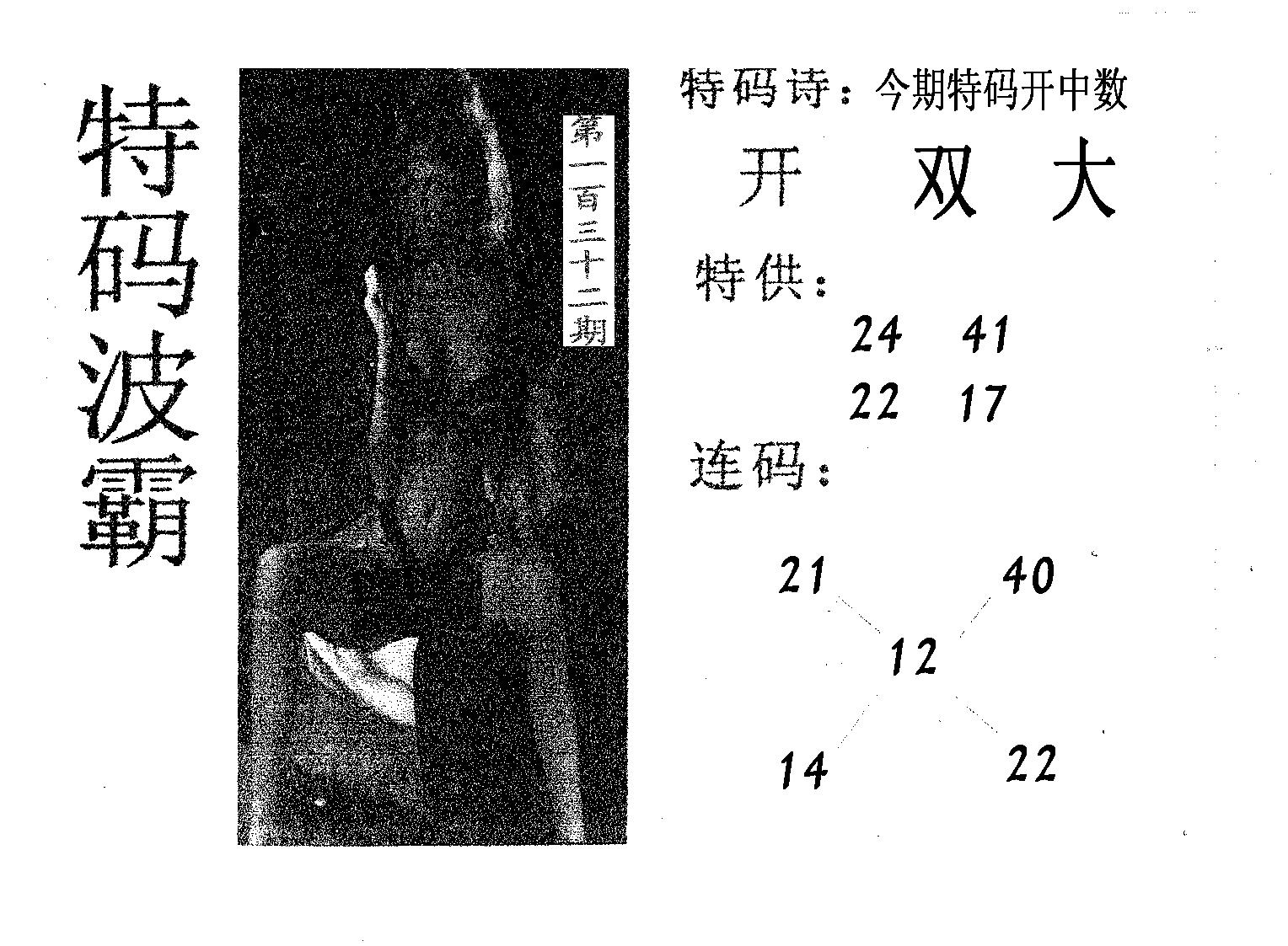 特码波霸 第132期