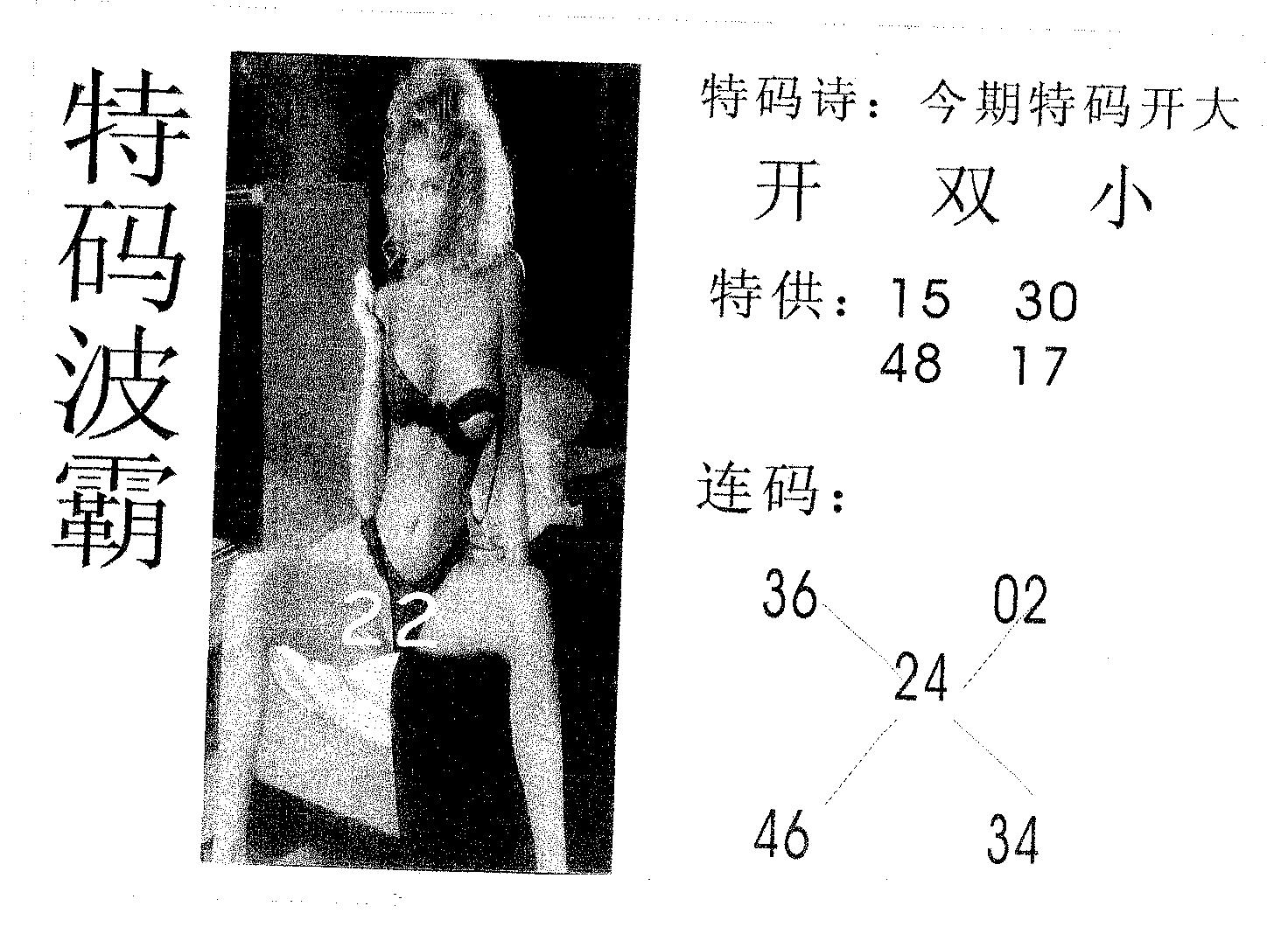 特码波霸 第134期