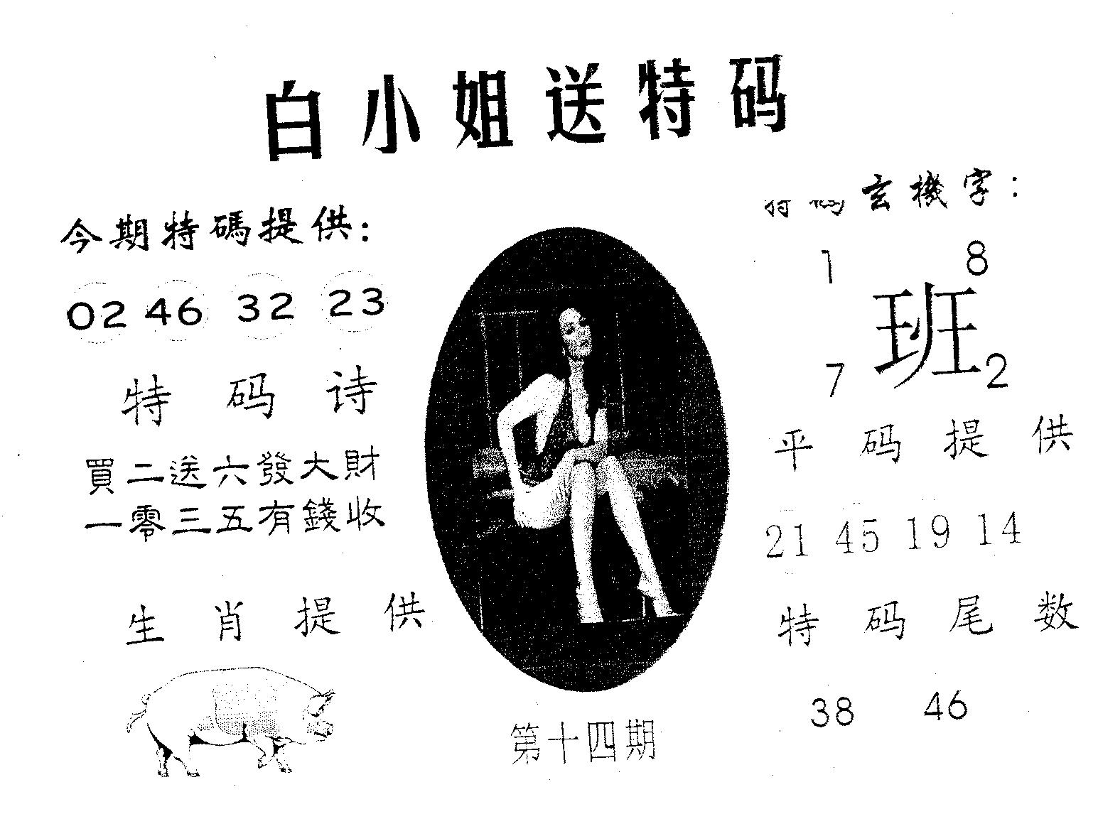 白姐送特 第14期