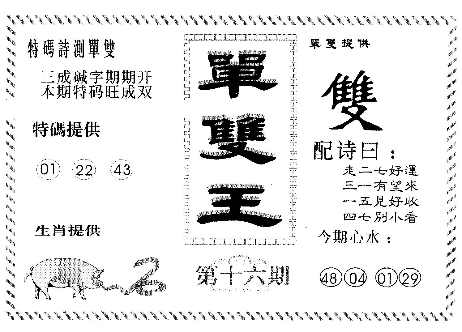 单双王B 第16期