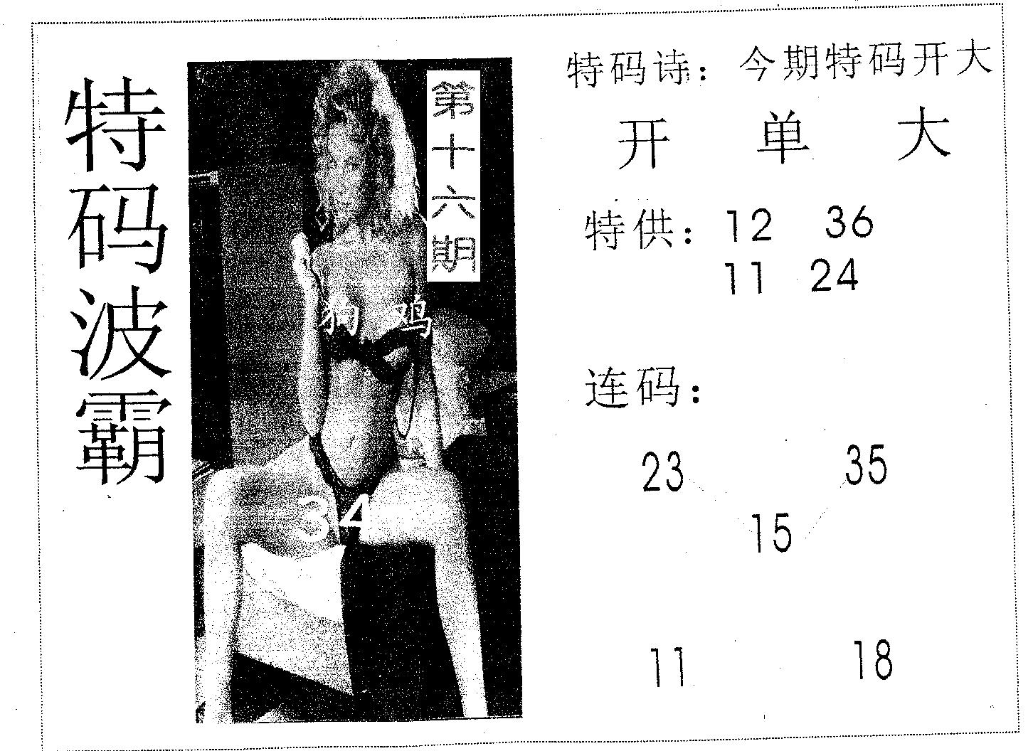 特码波霸 第16期