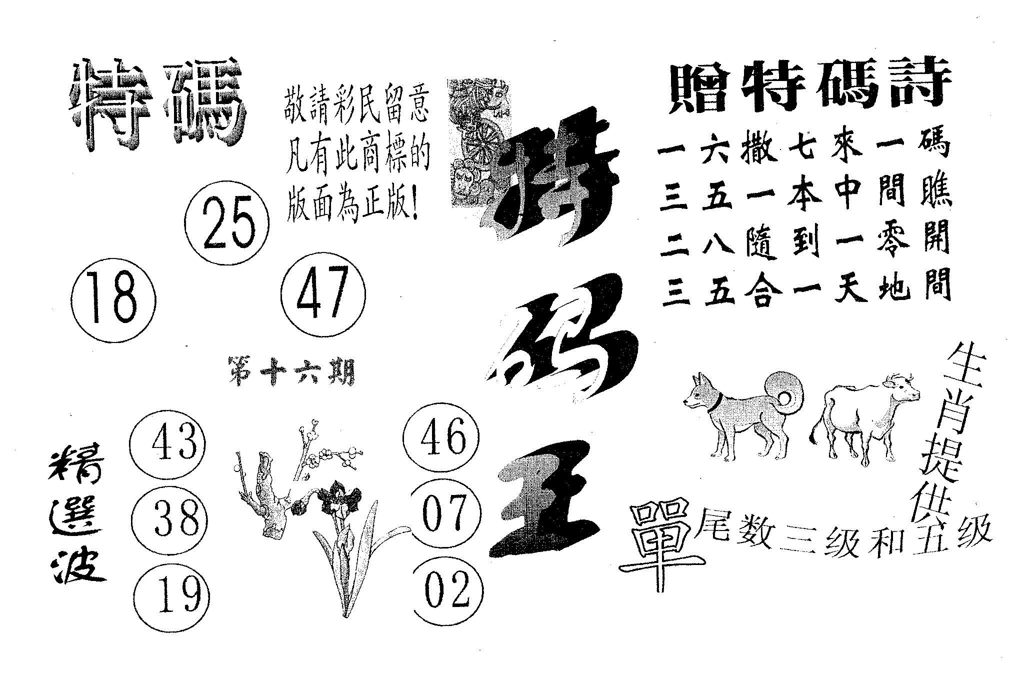 特码王A 第16期