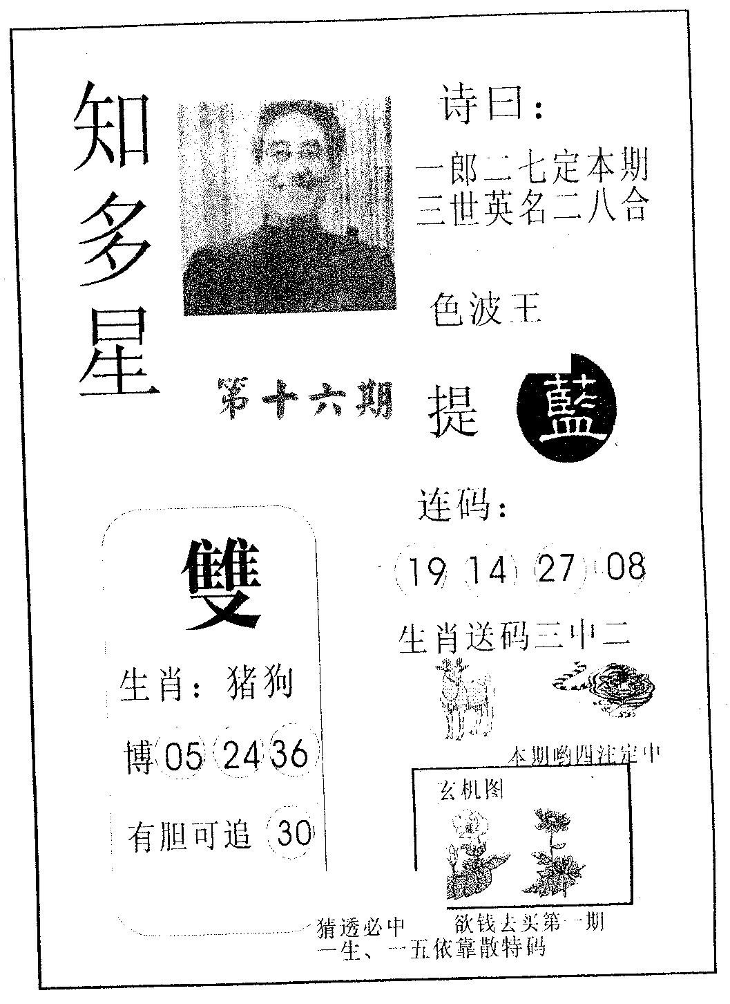 知多星 第16期
