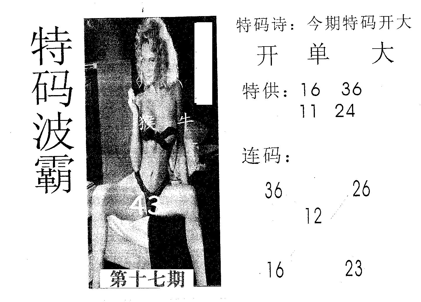 特码波霸 第17期