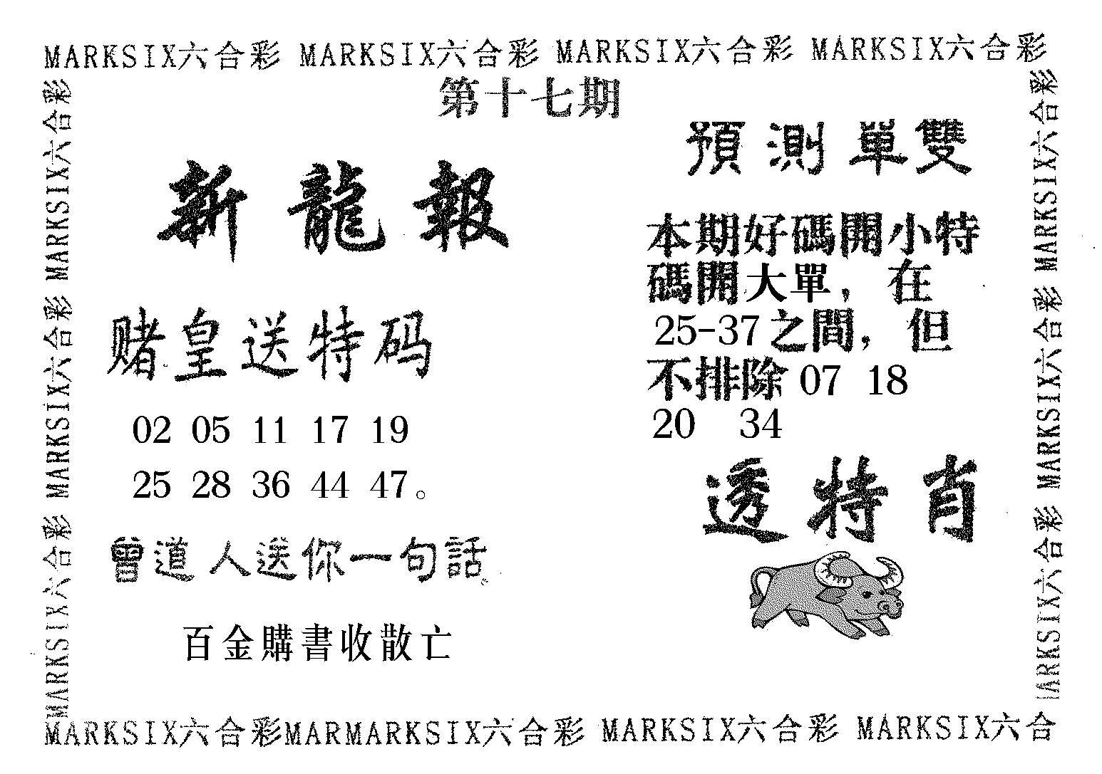 新龙报 第17期