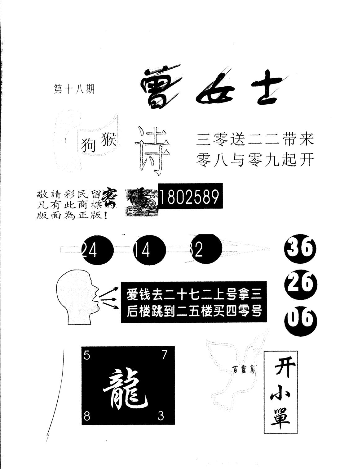 另版曾女士百灵鸟 第18期
