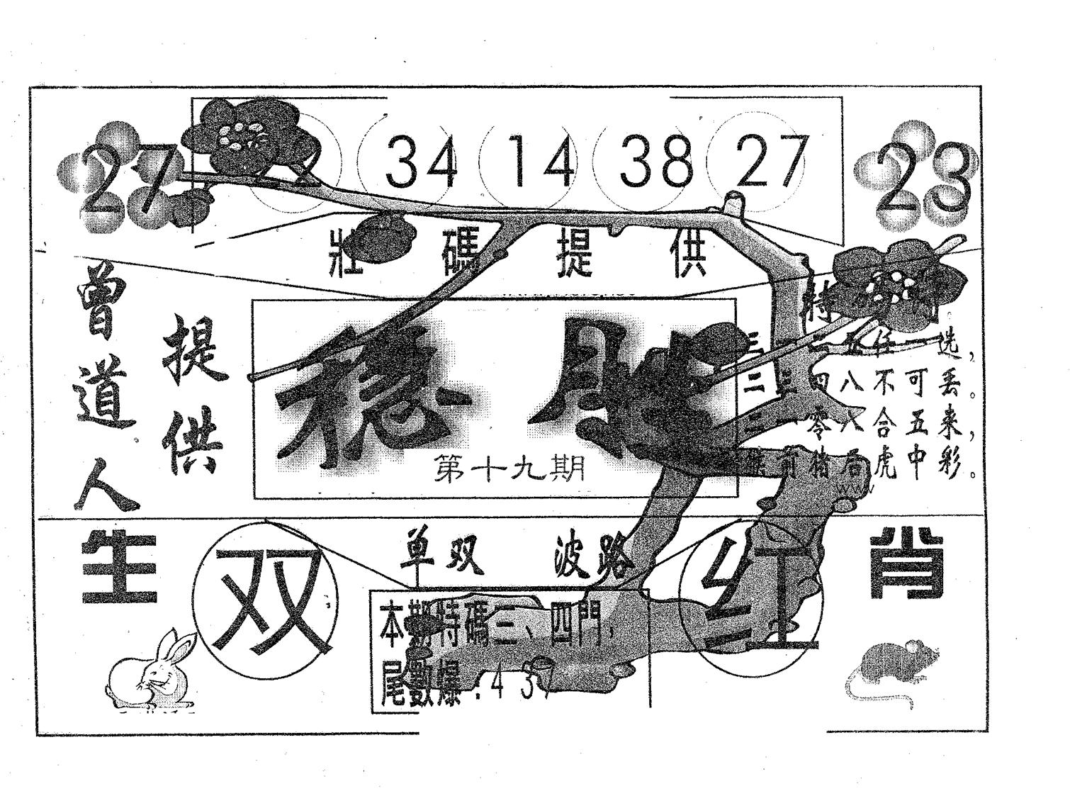 稳胜 第19期