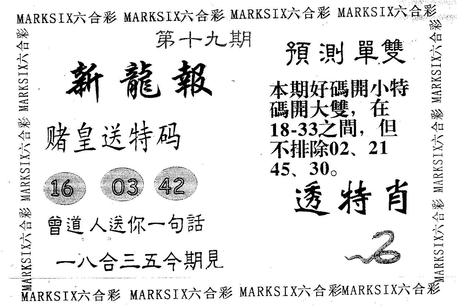 新龙报 第19期