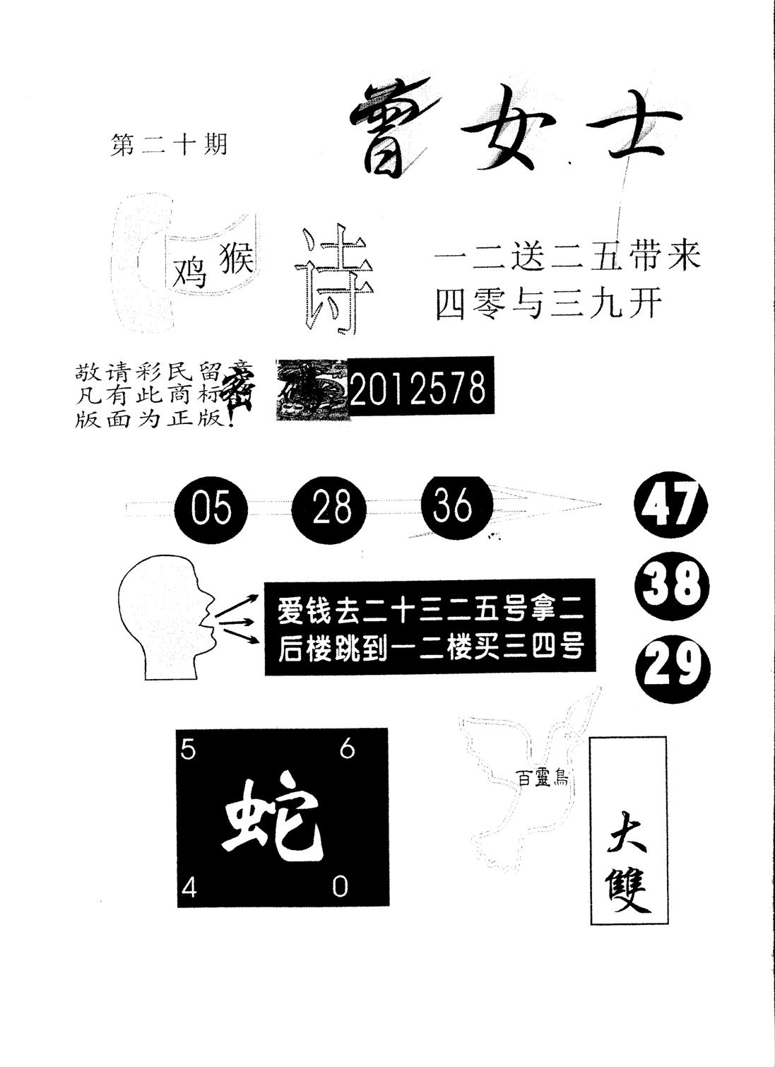 另版曾女士百灵鸟 第20期