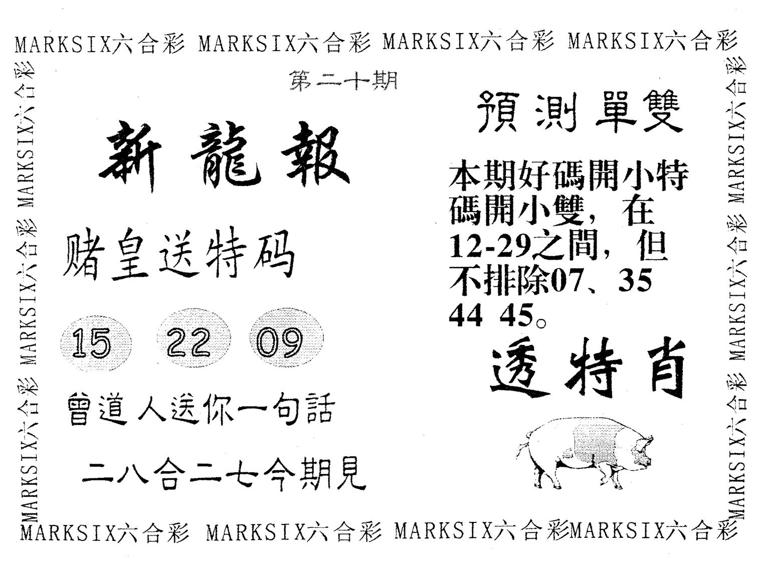 新龙报 第20期