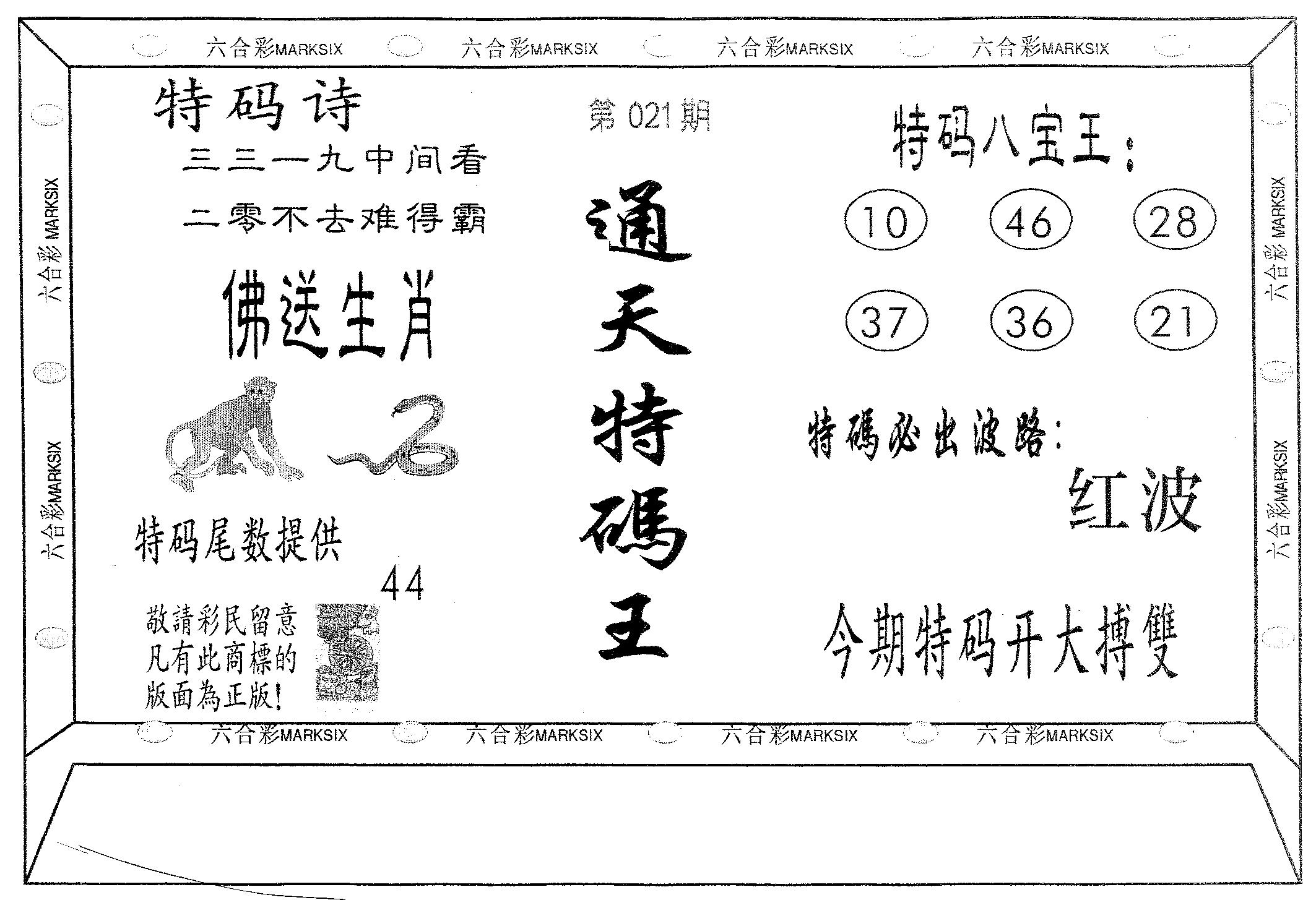 通天特码王 第21期