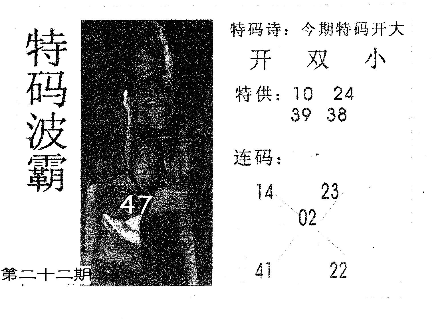 特码波霸 第22期