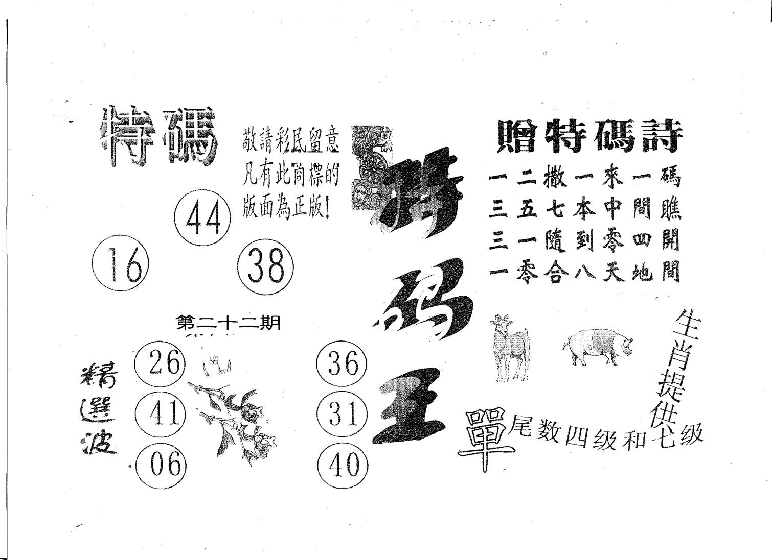 特码王A 第22期