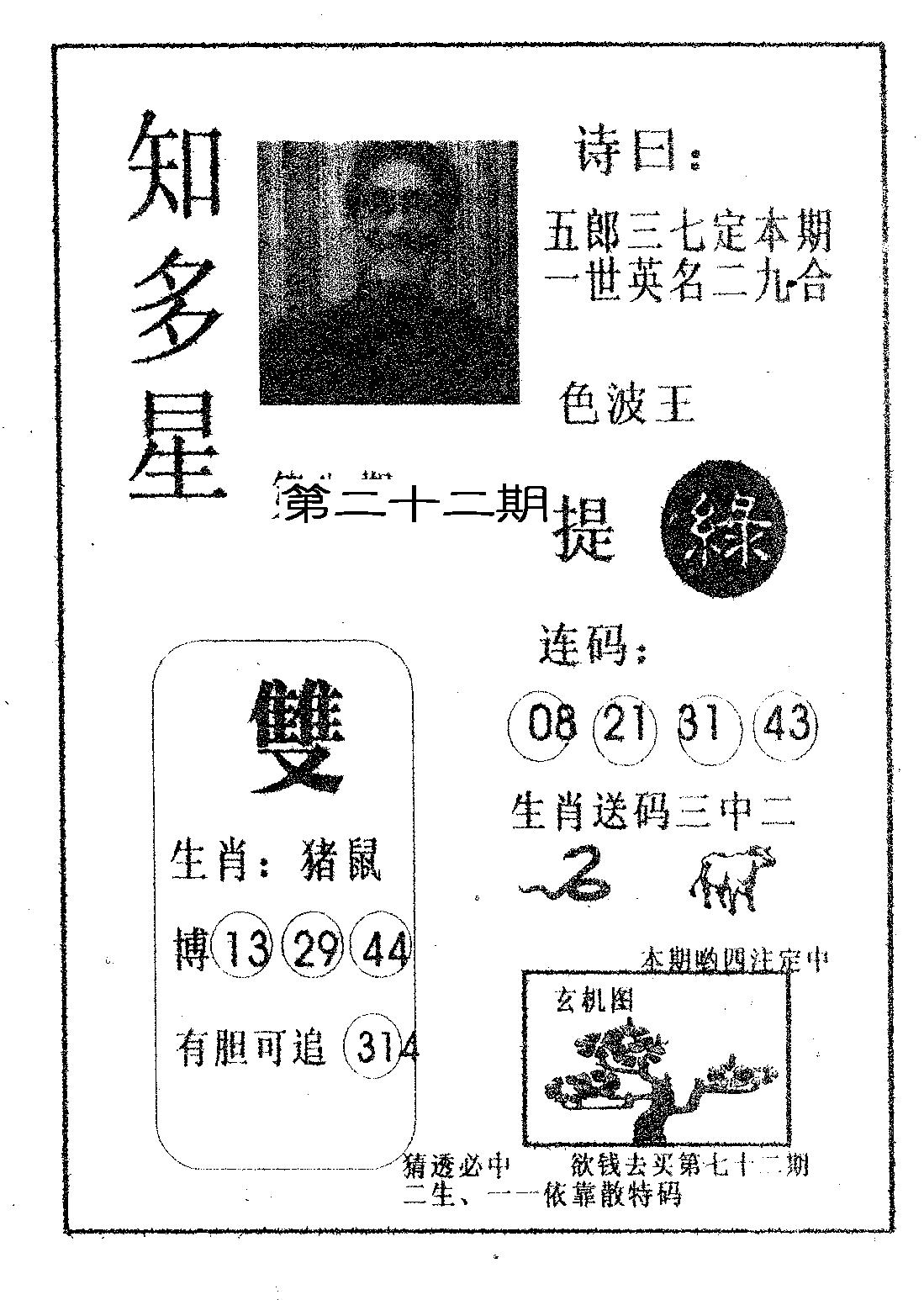 知多星 第22期