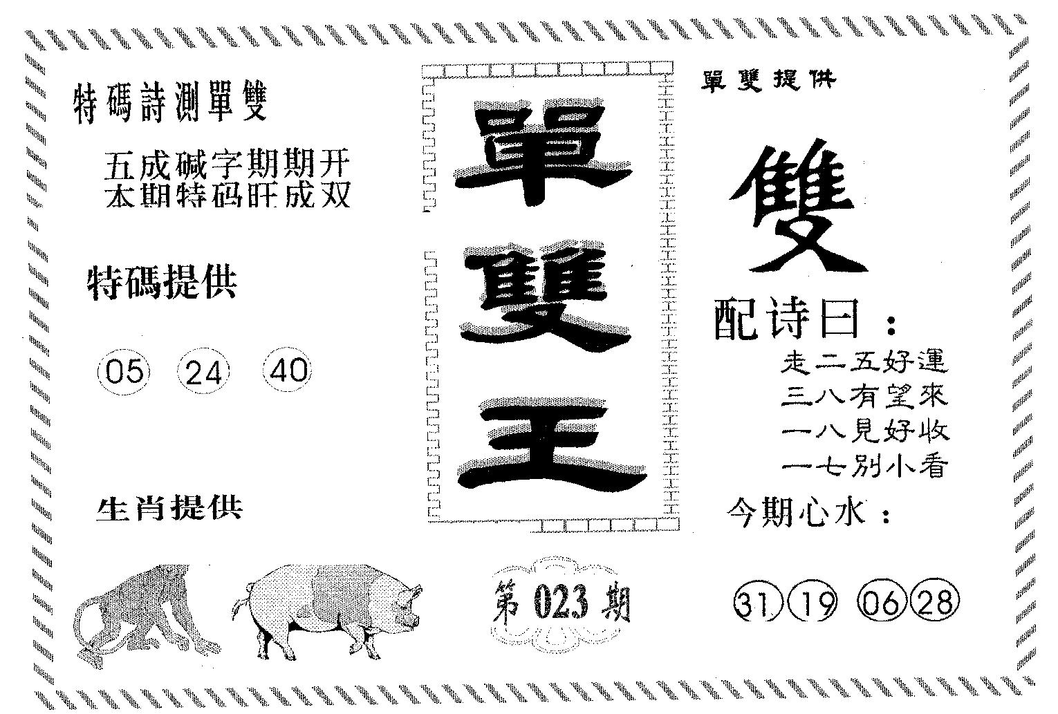 单双王B 第23期