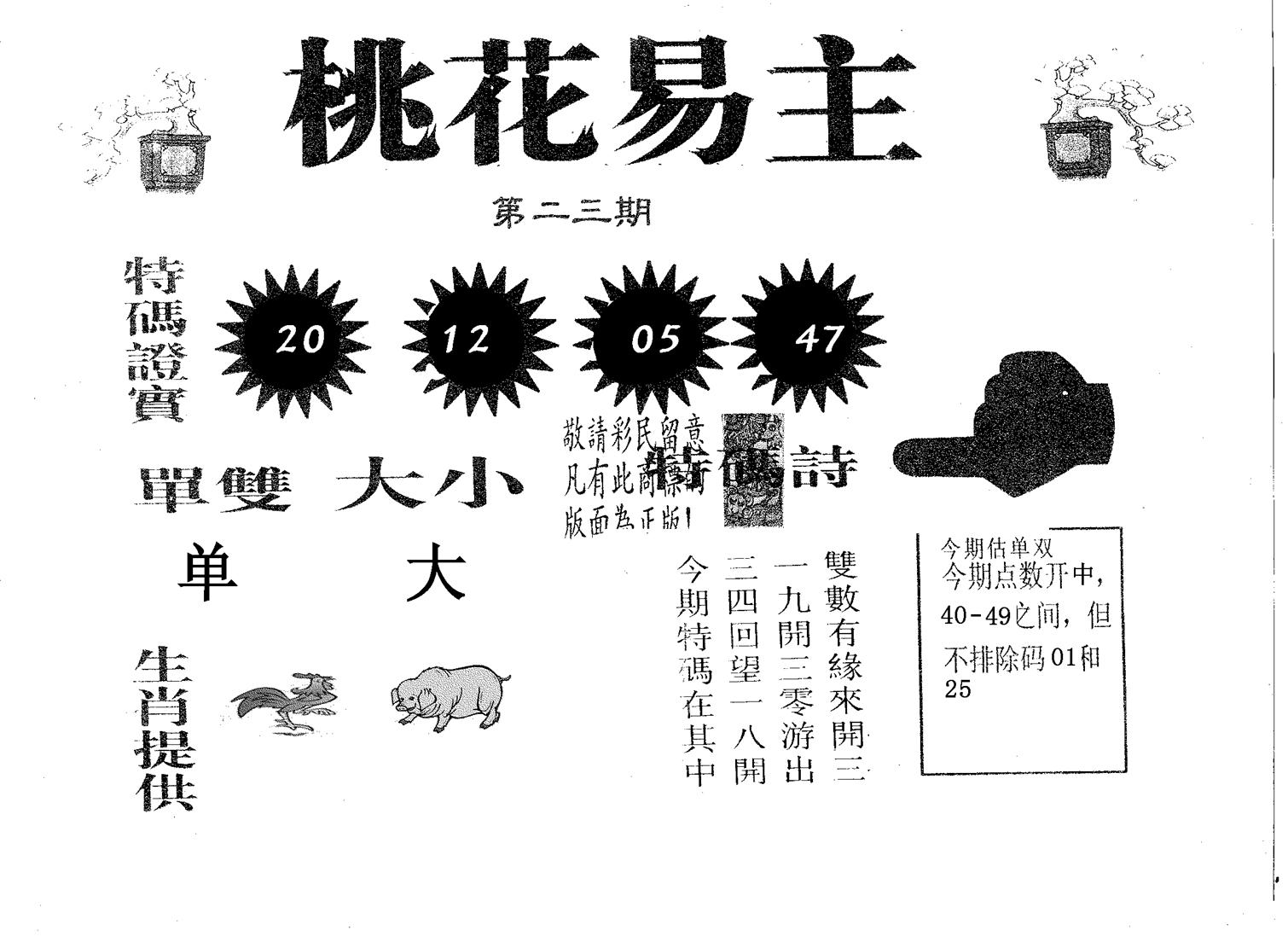 桃花易主 第23期