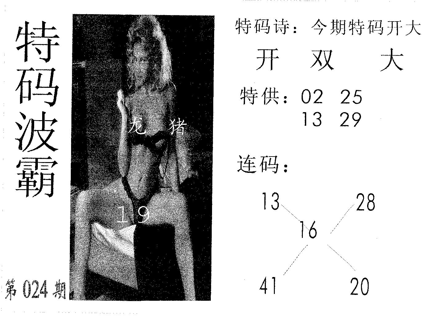特码波霸 第24期
