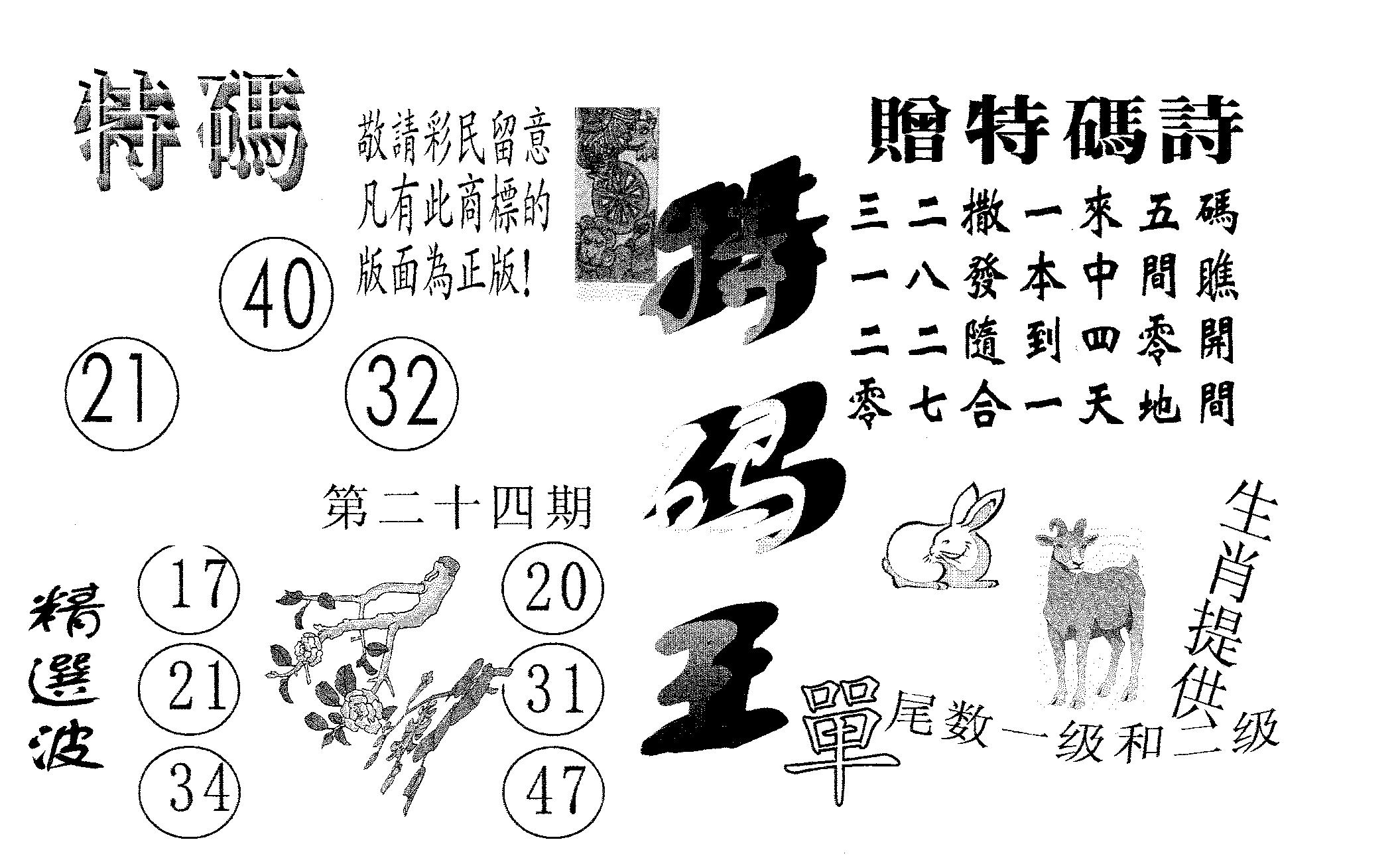 特码王A 第24期