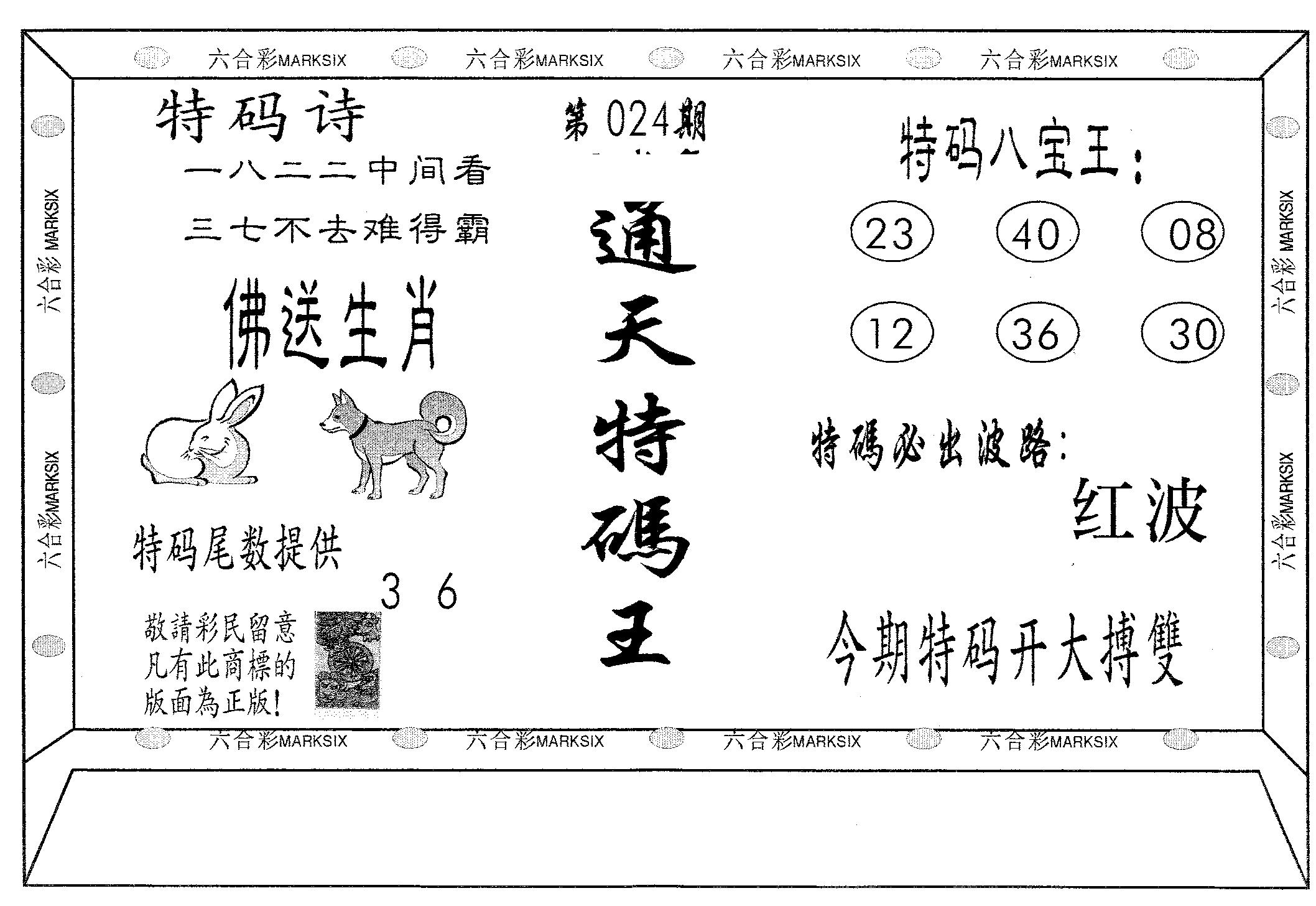 通天特码王 第24期