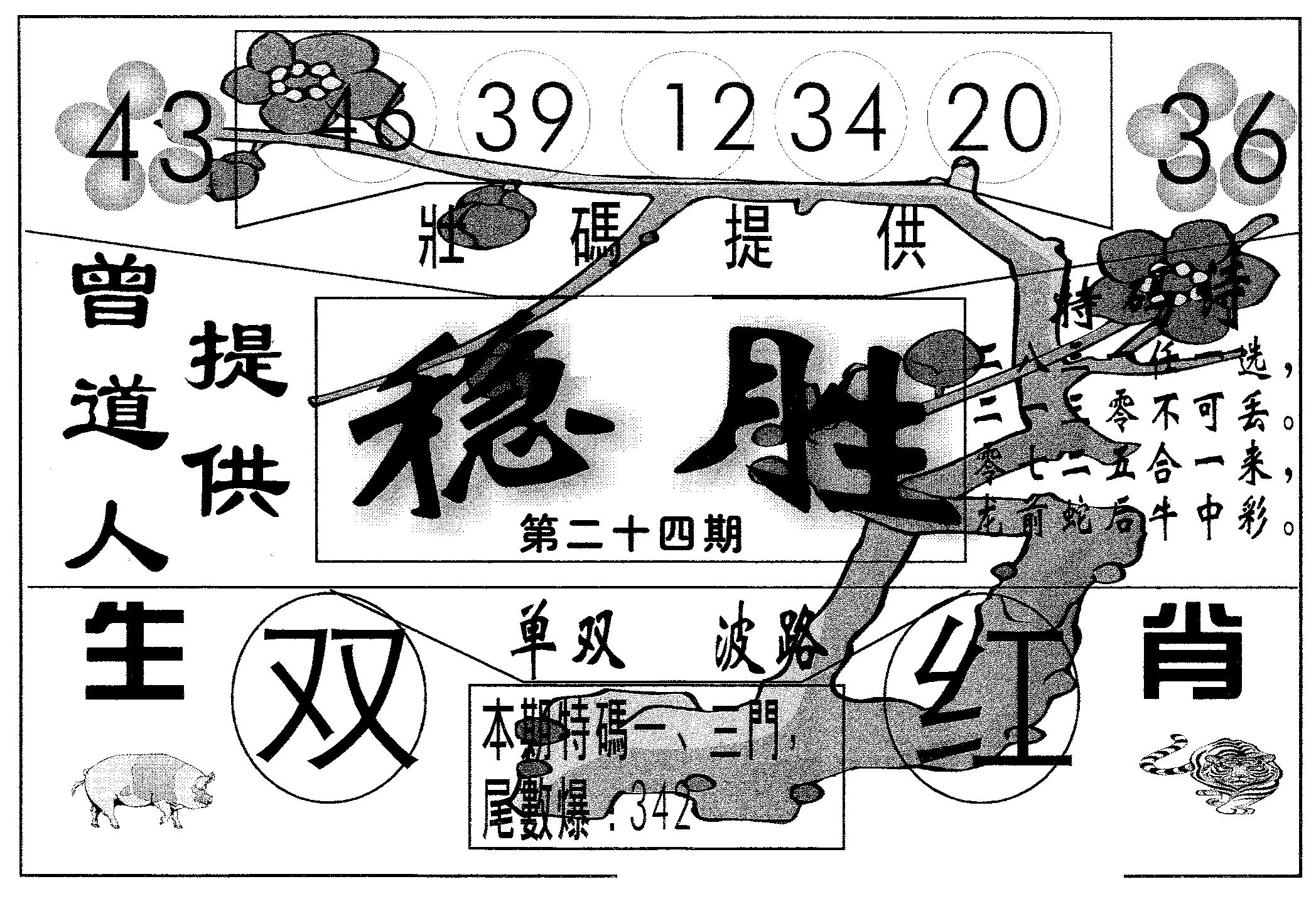 稳胜 第24期
