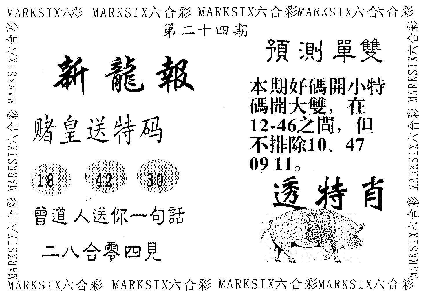新龙报 第24期