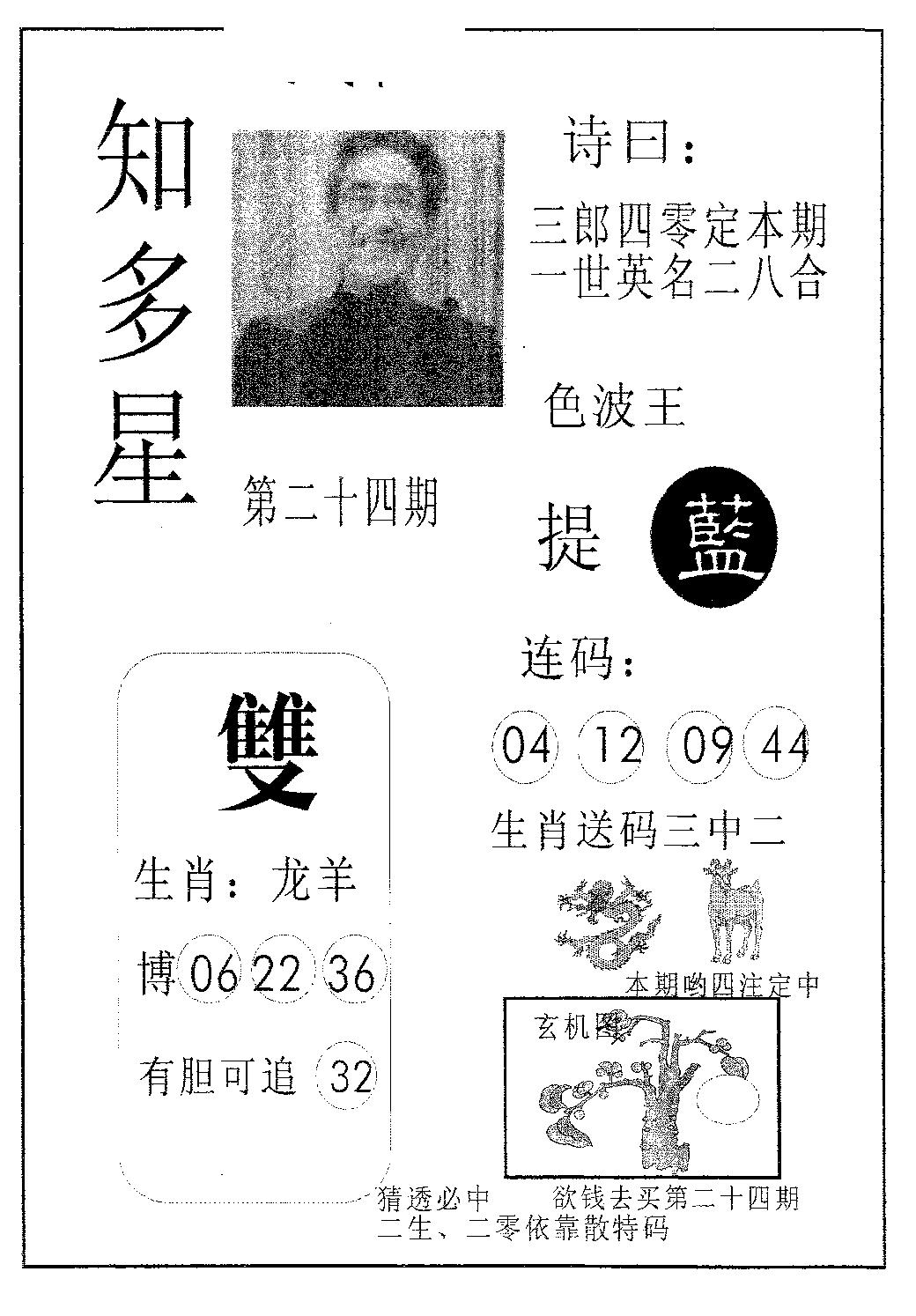 知多星 第24期