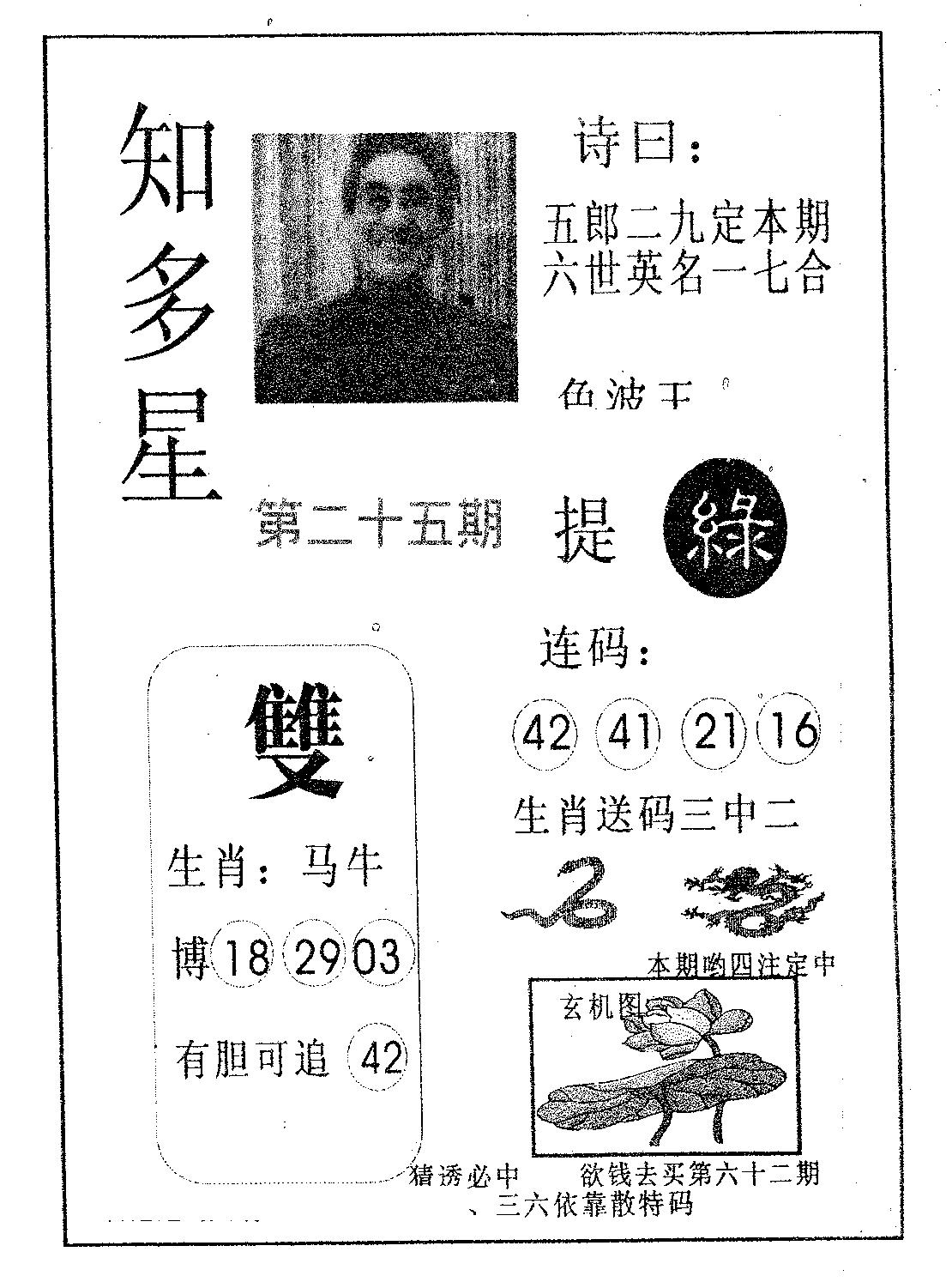 知多星 第25期