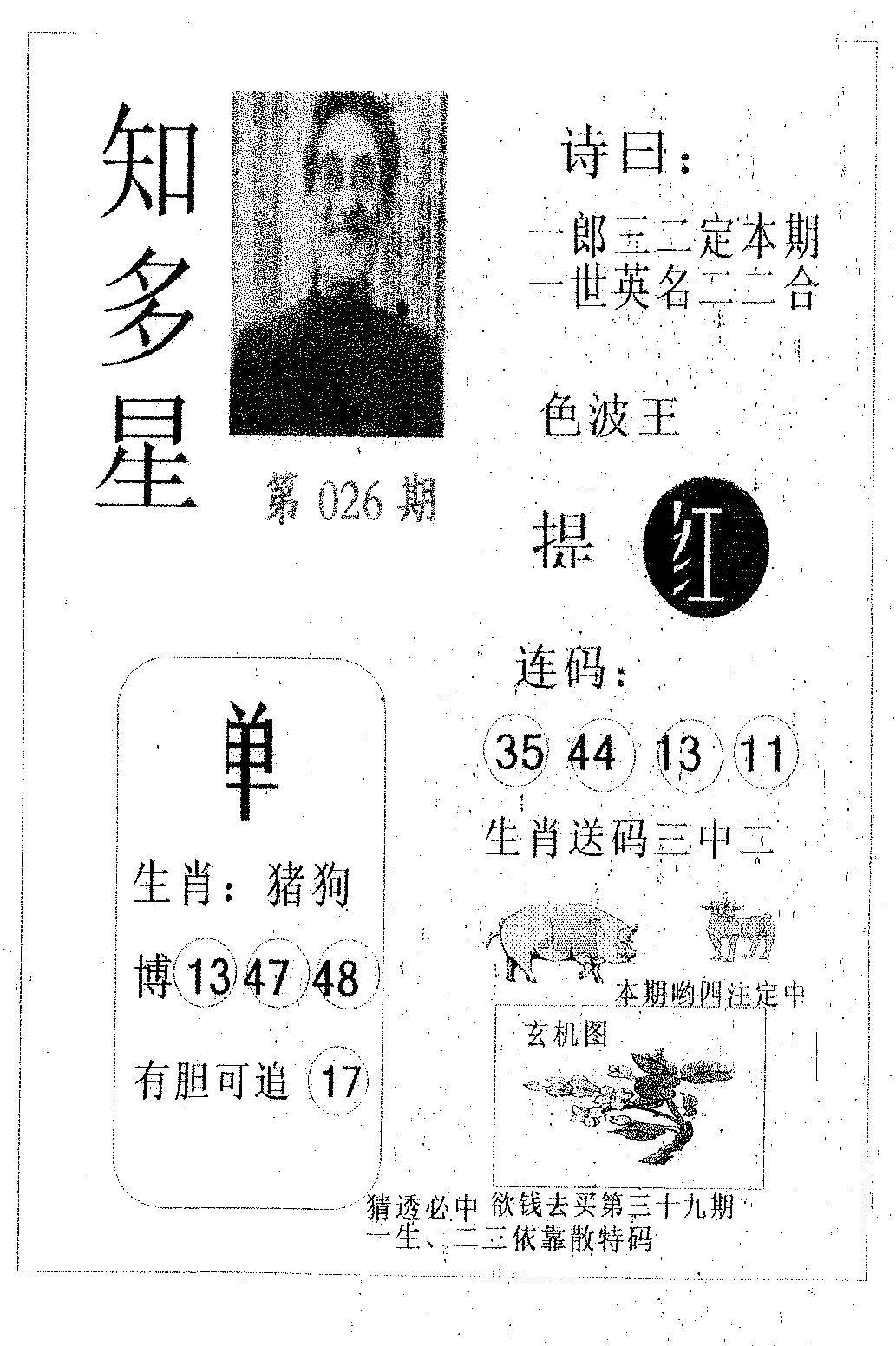 知多星 第26期