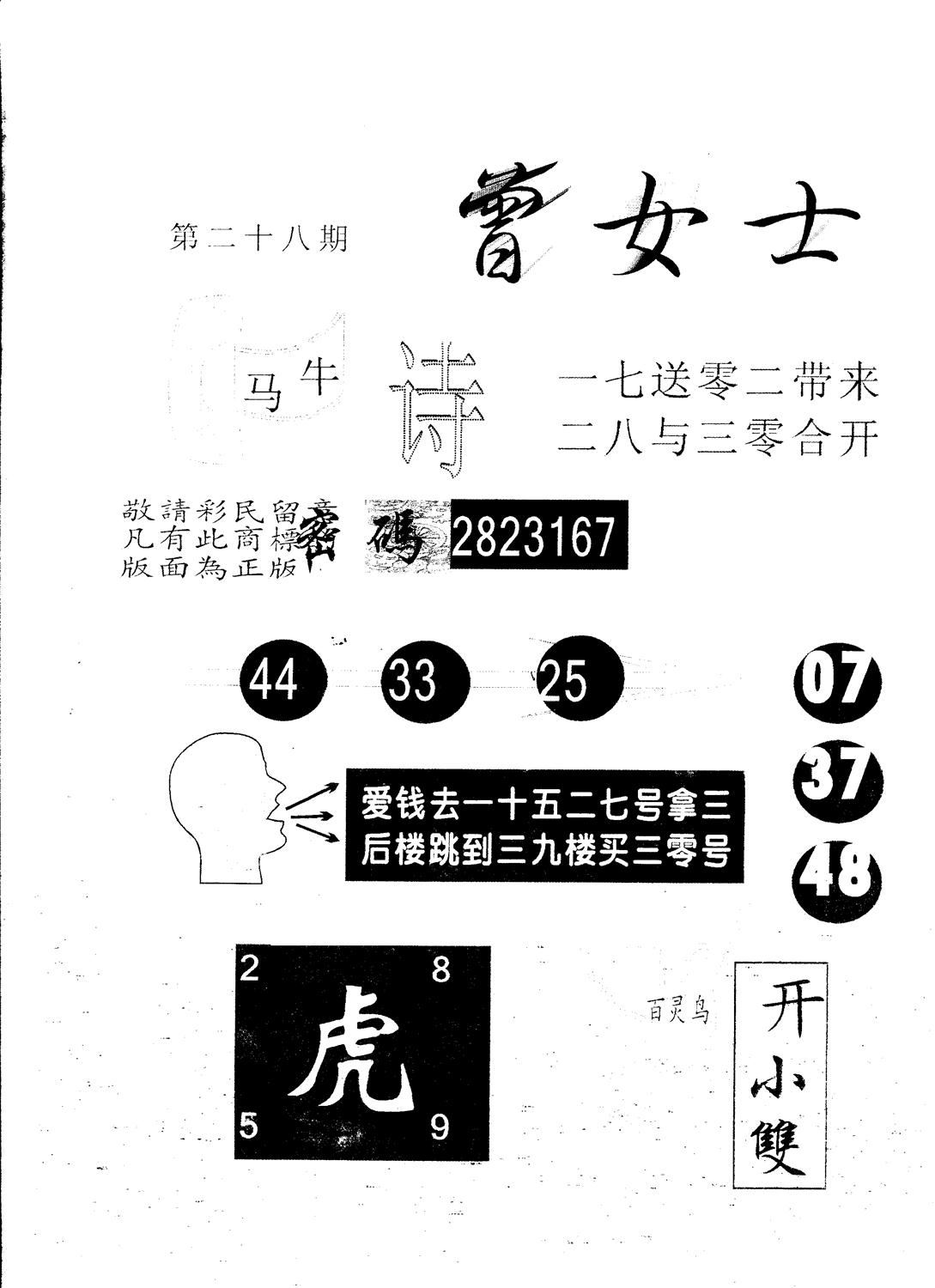 另版曾女士百灵鸟 第28期