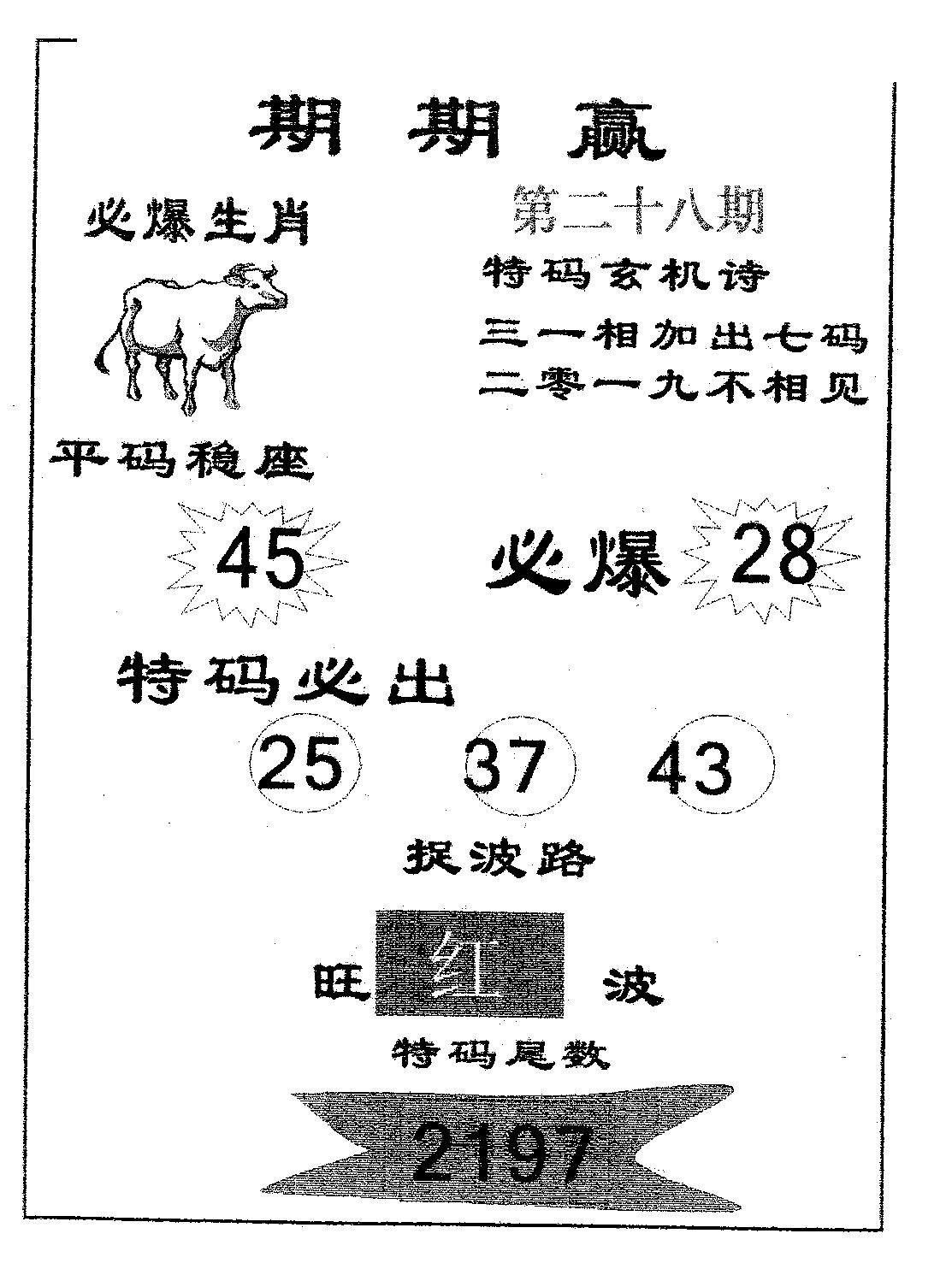 期期赢 第28期