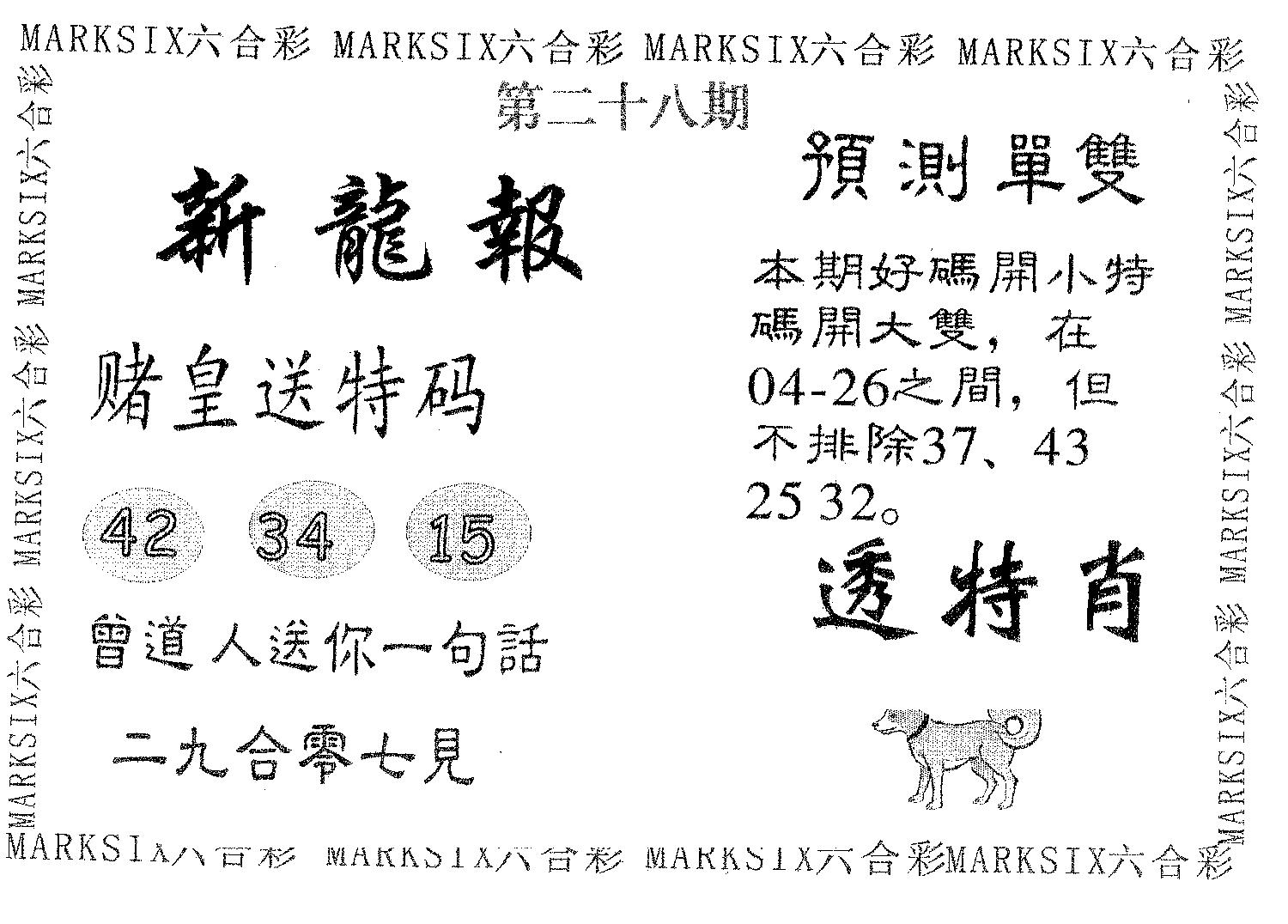 新龙报 第28期