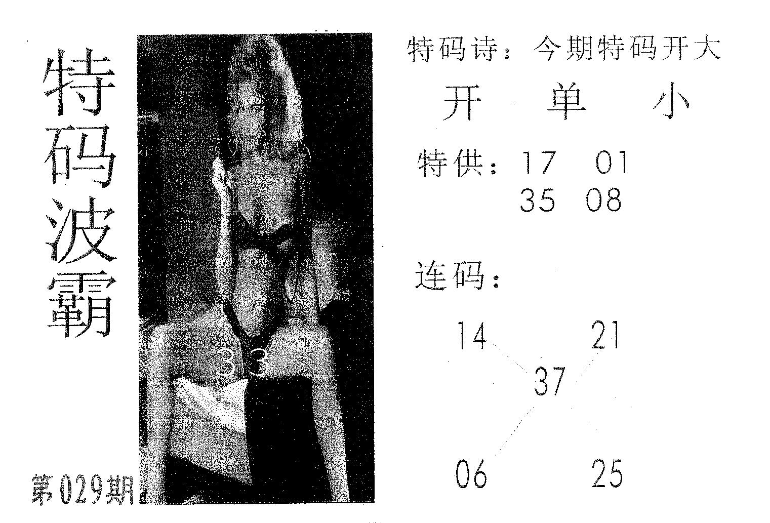 特码波霸 第29期