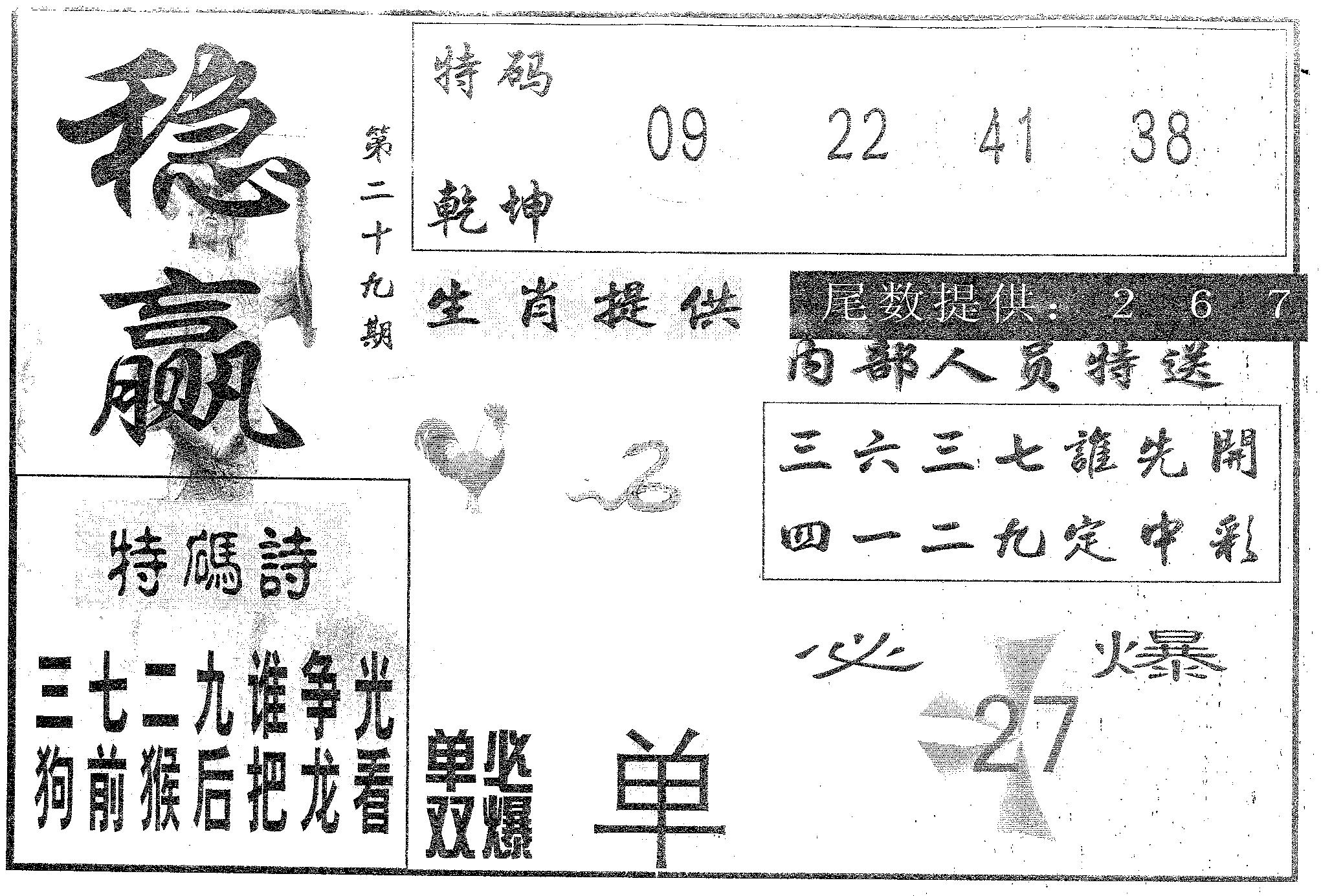 稳赢 第29期
