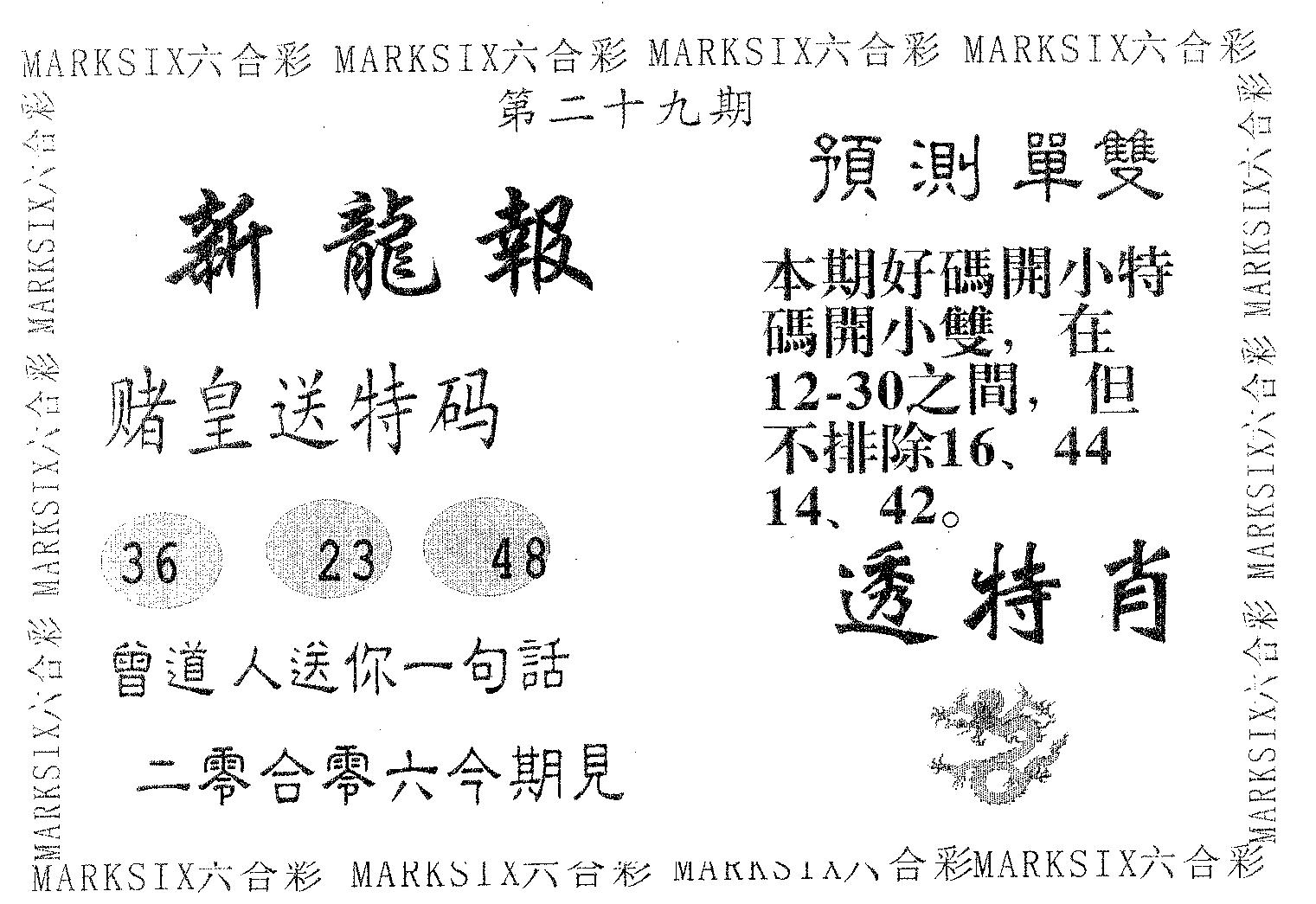 新龙报 第29期
