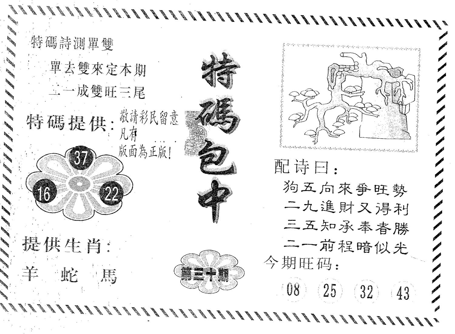特码包中 第30期