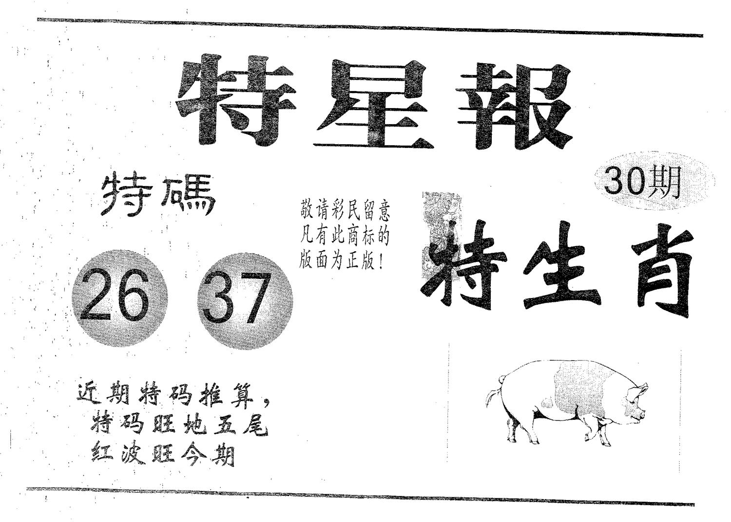 特星报 第30期